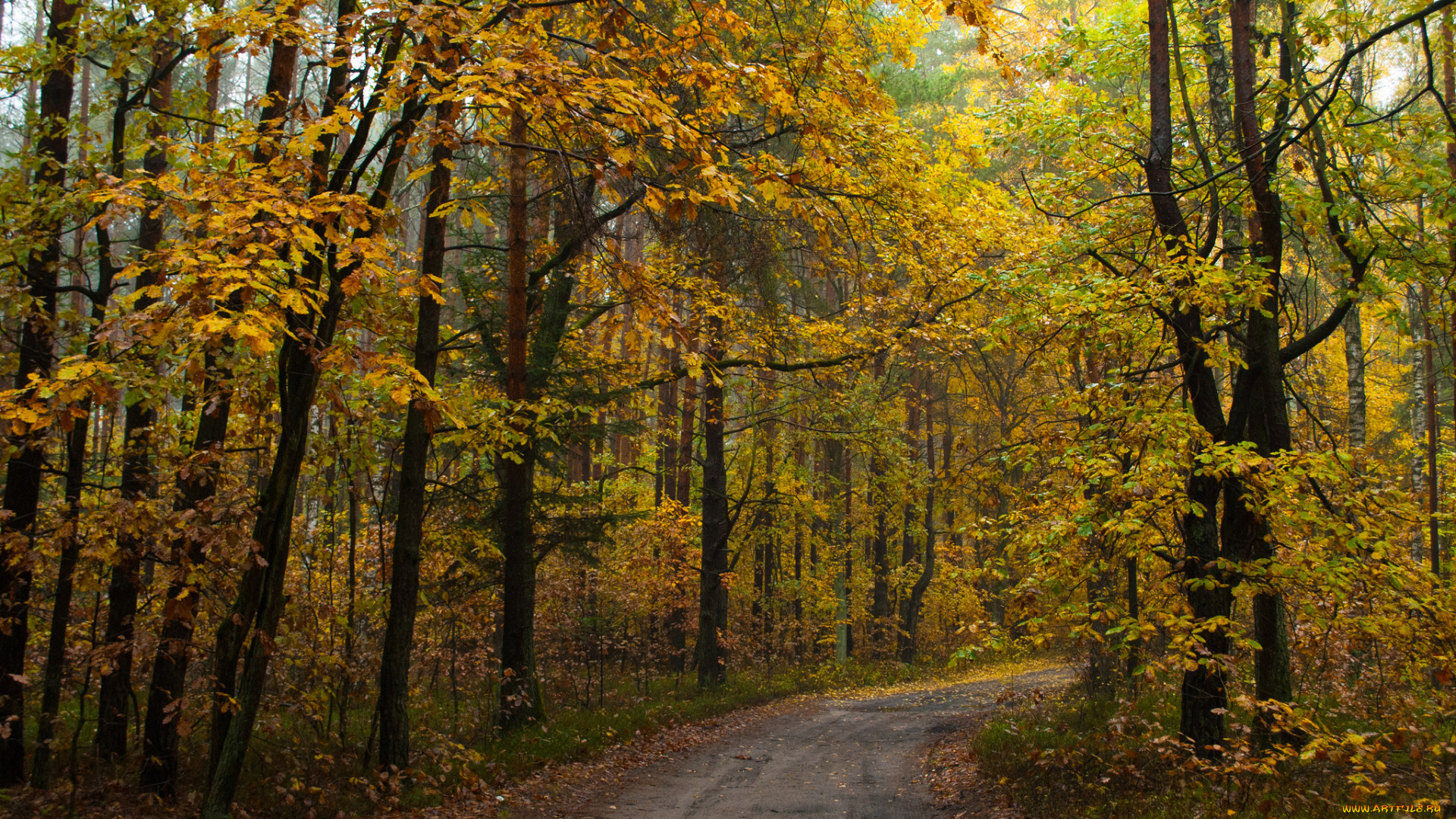 природа, дороги, тракт