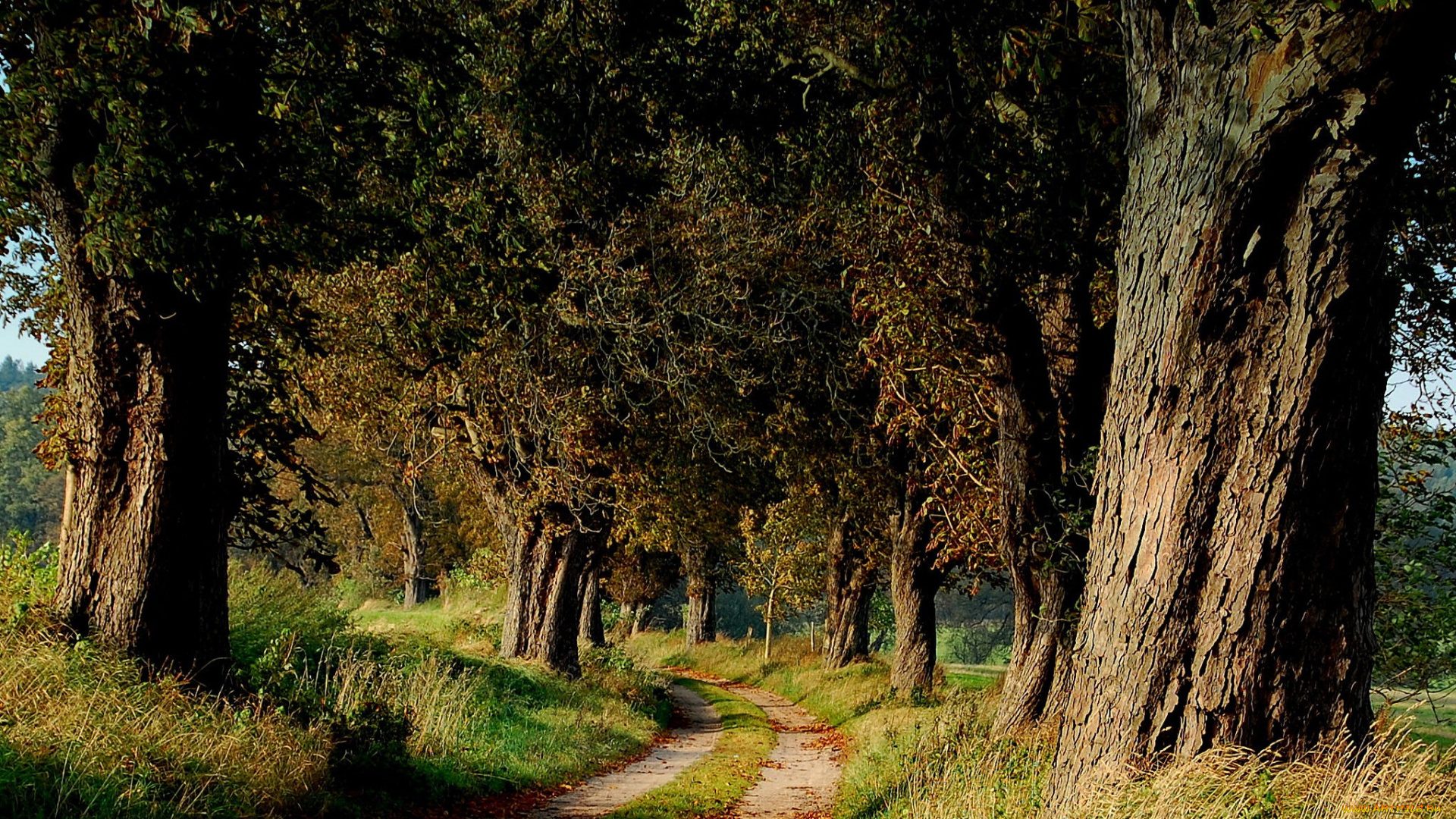 природа, дороги, тракт