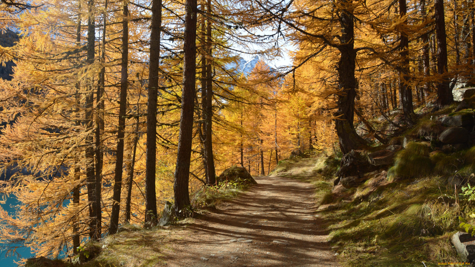 природа, дороги, тракт