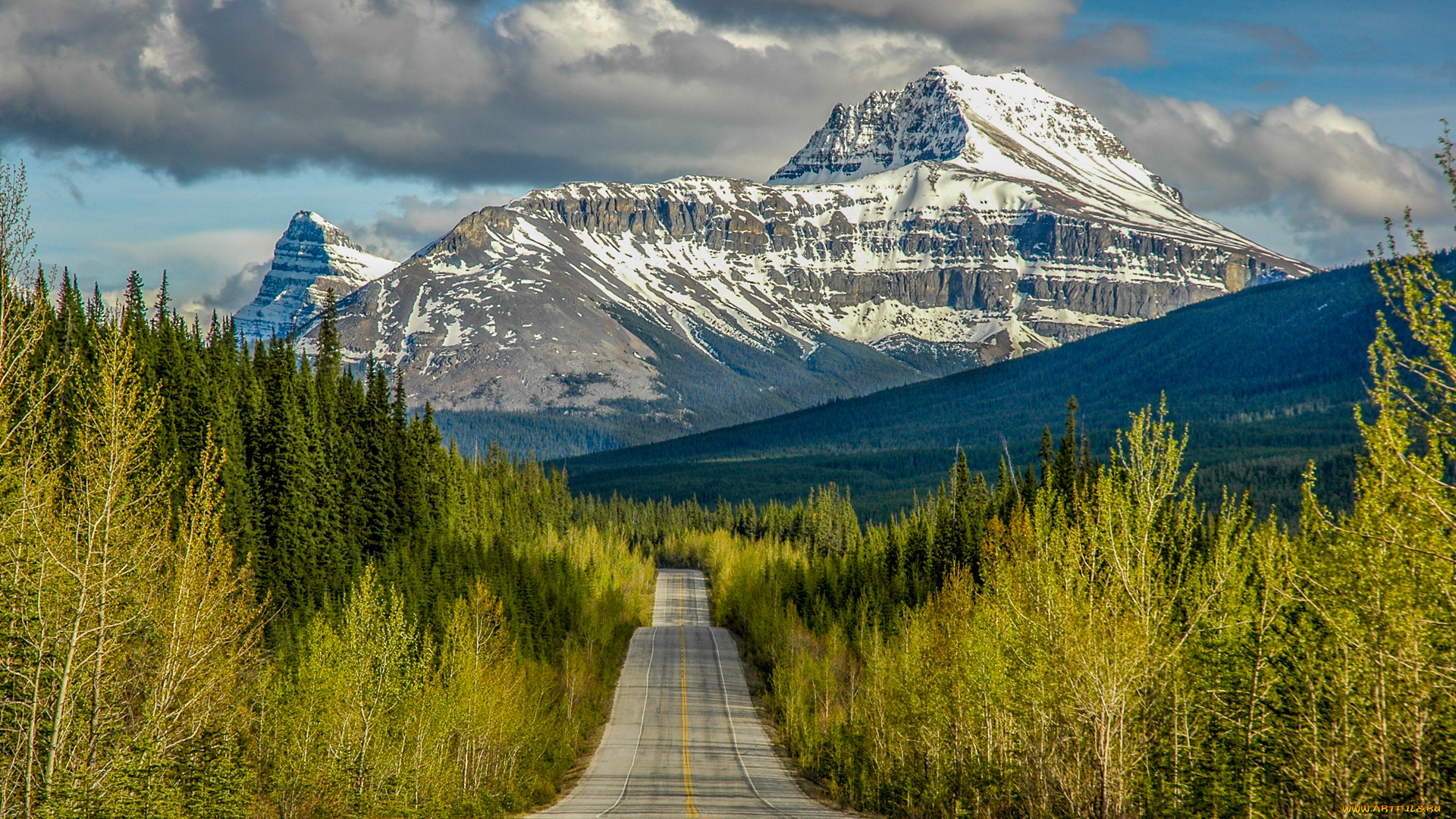 природа, дороги, тракт