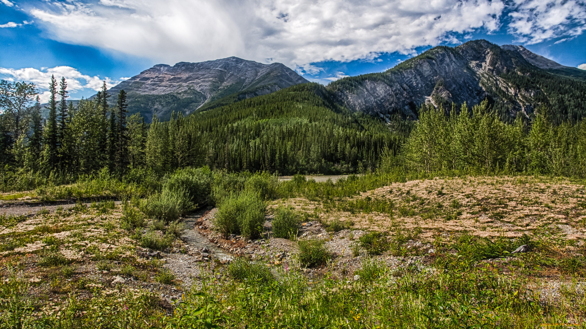 природа, горы, простор