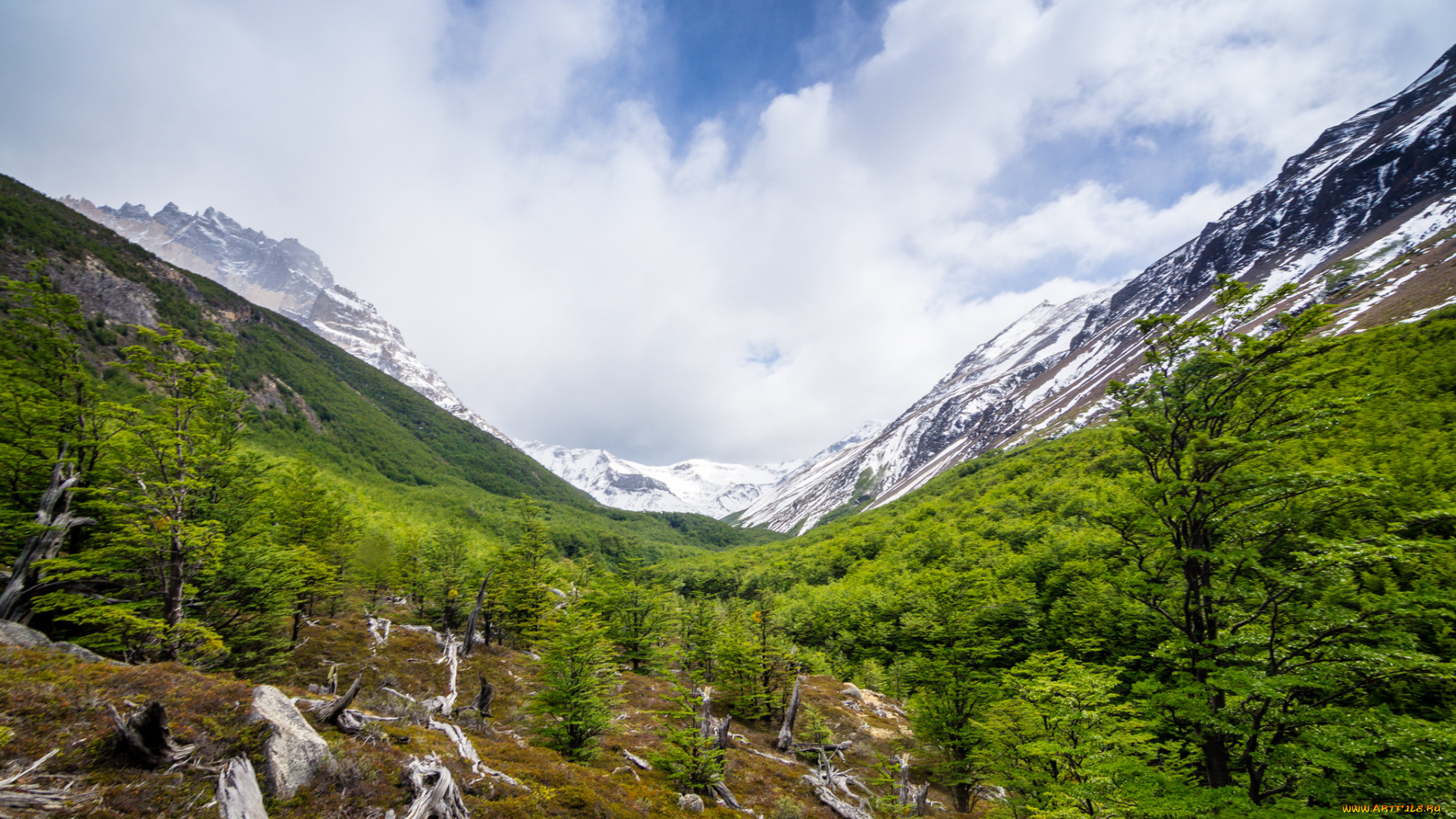 природа, горы, простор