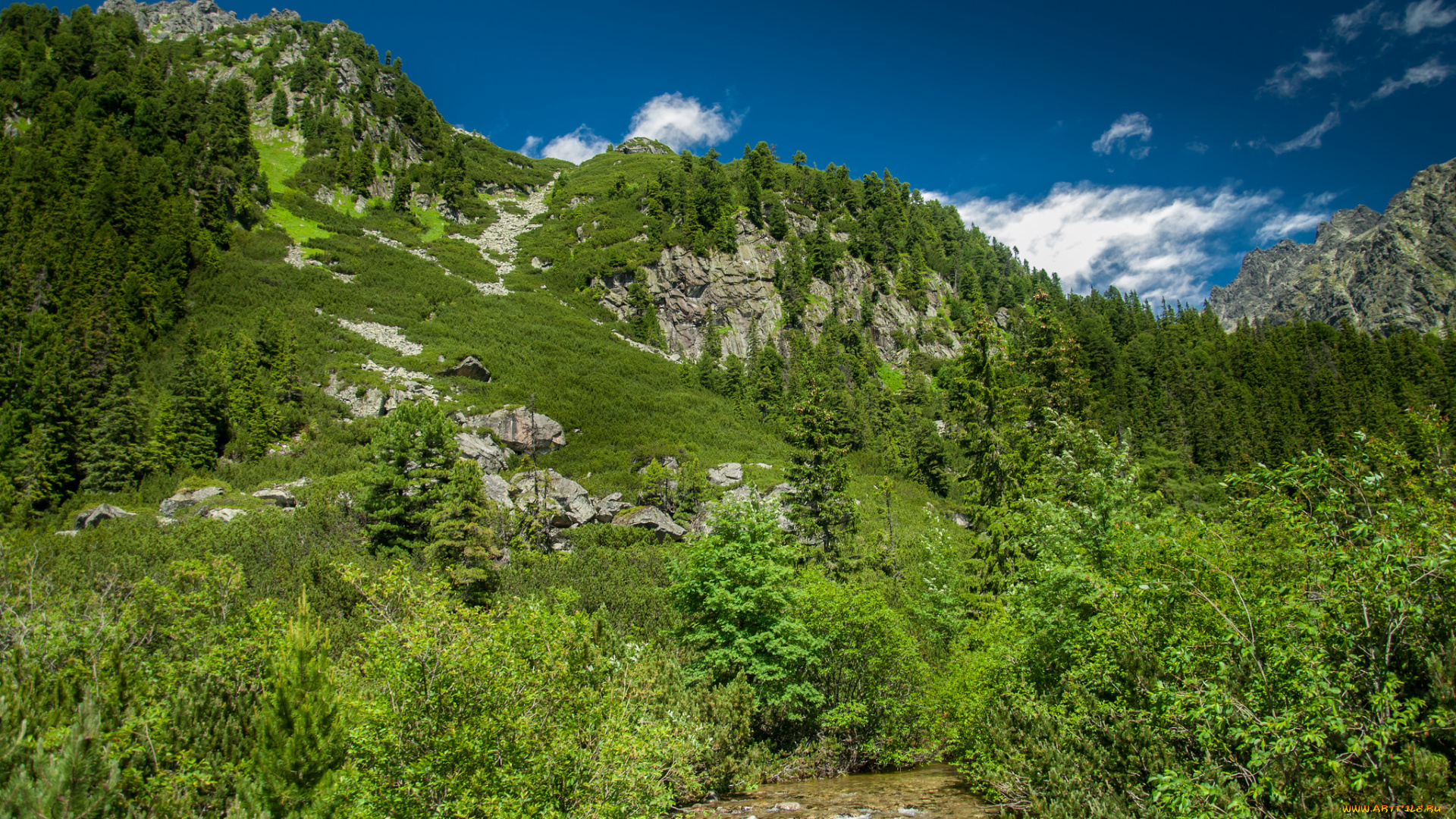 природа, горы, простор