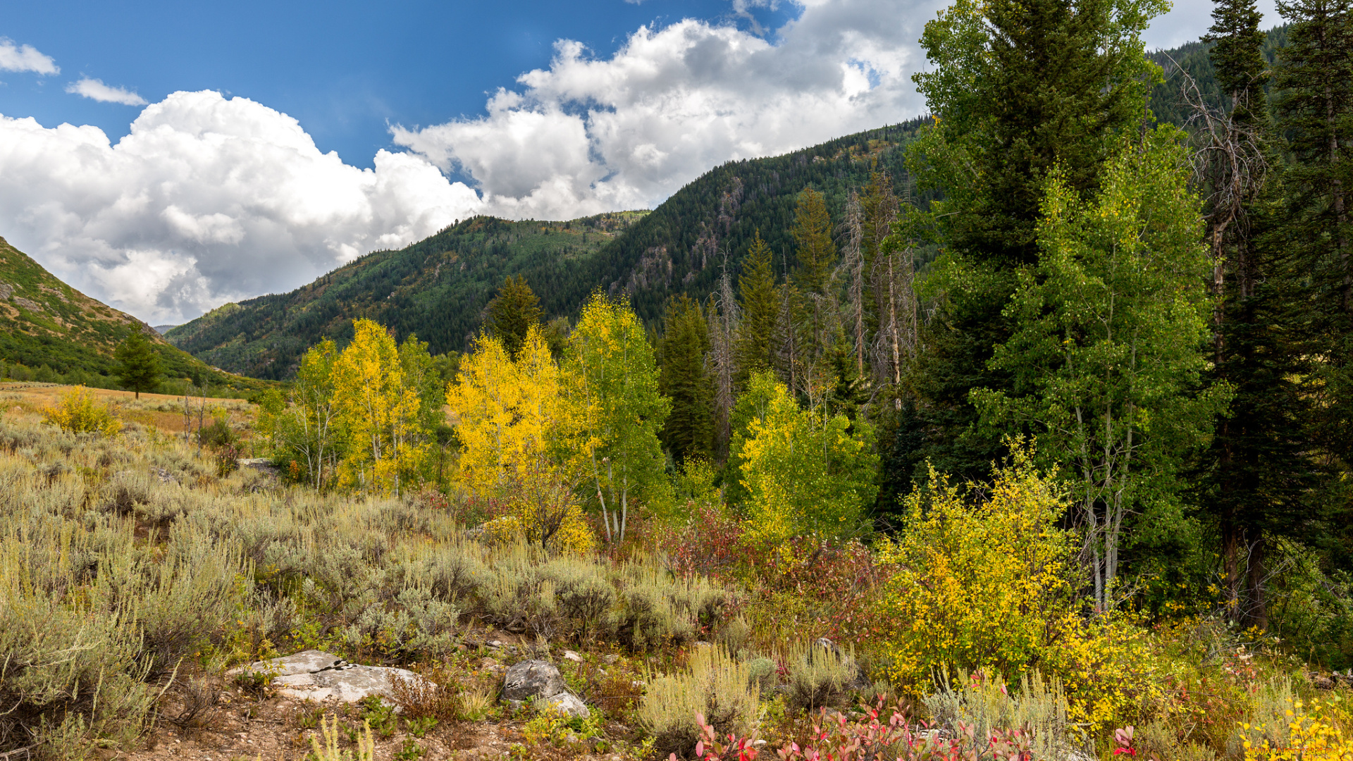 природа, горы, простор