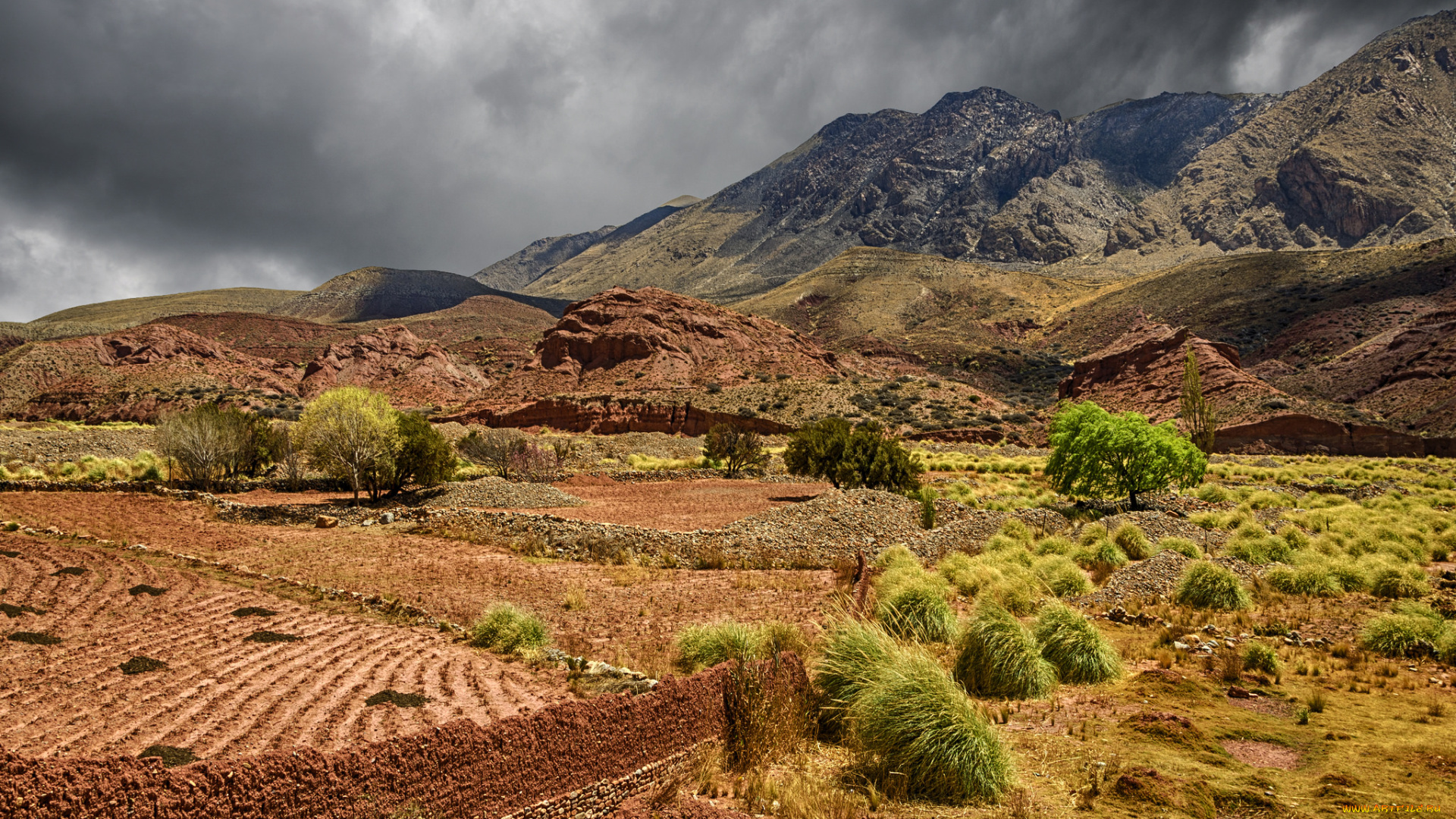 природа, горы, простор