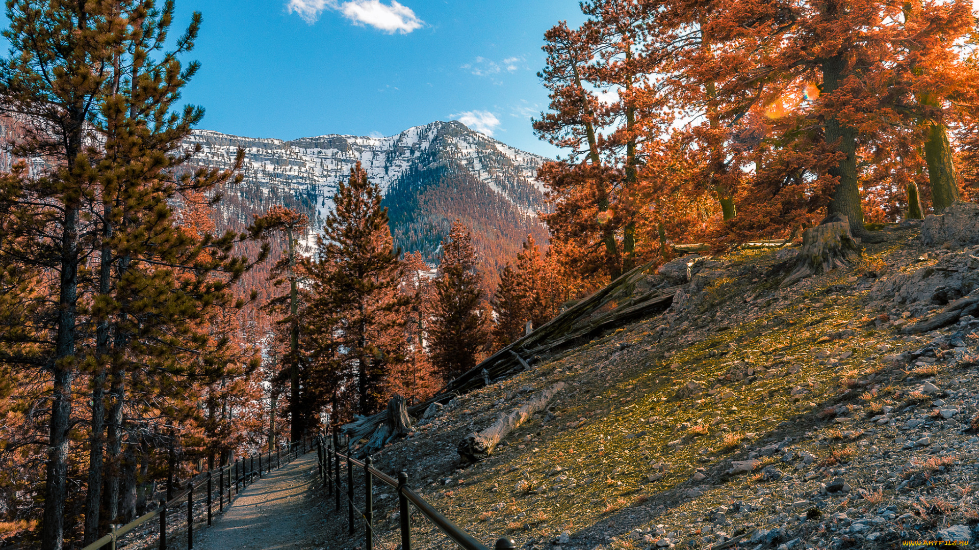 природа, горы, простор