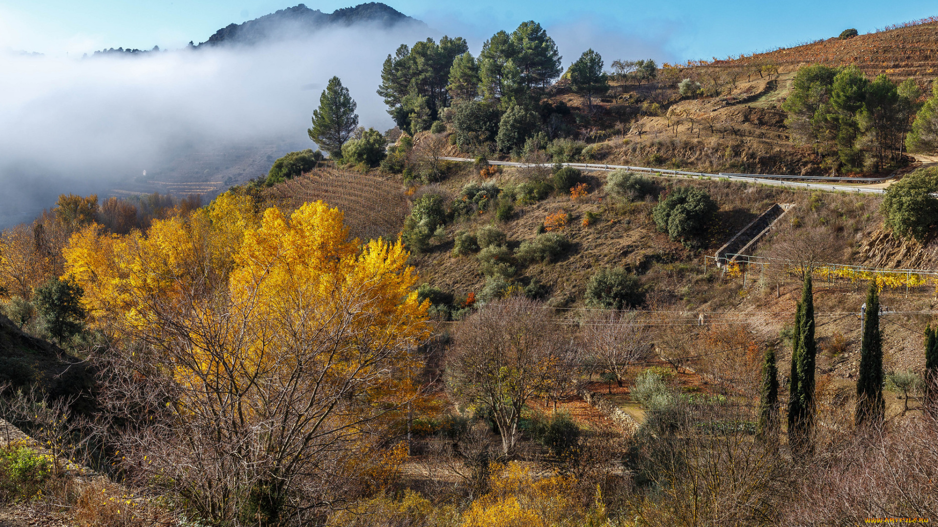 природа, горы, простор