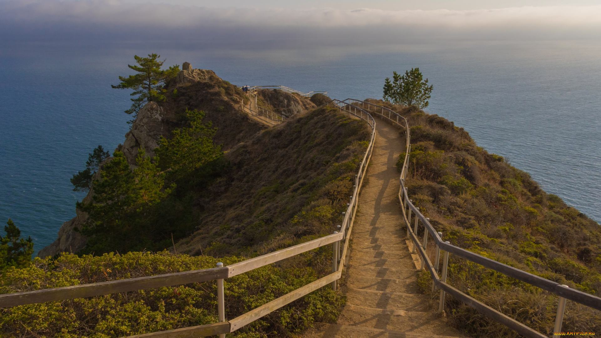 природа, побережье, берег, море