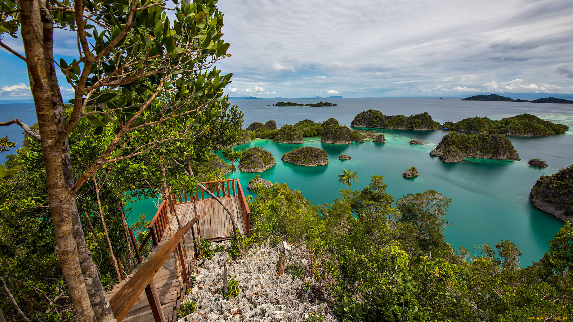 природа, побережье, море, берег