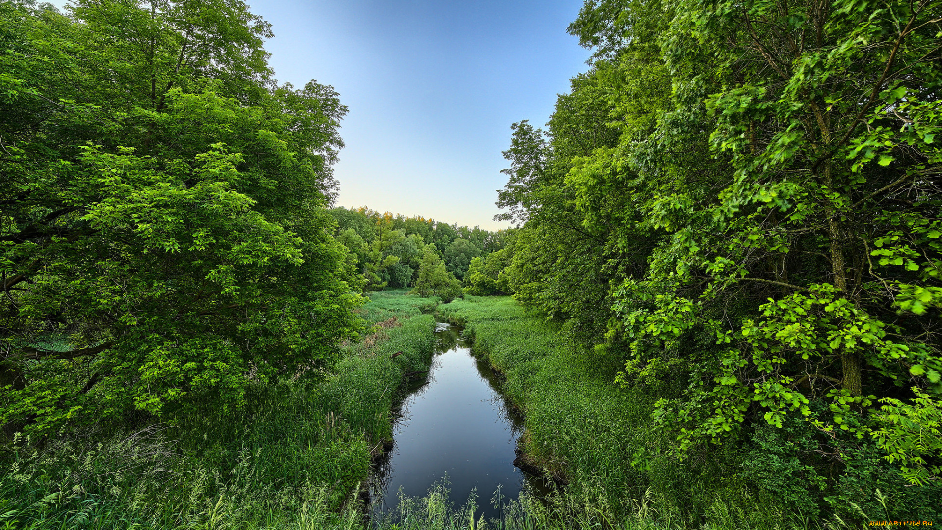 природа, реки, озера, горы, река, лес