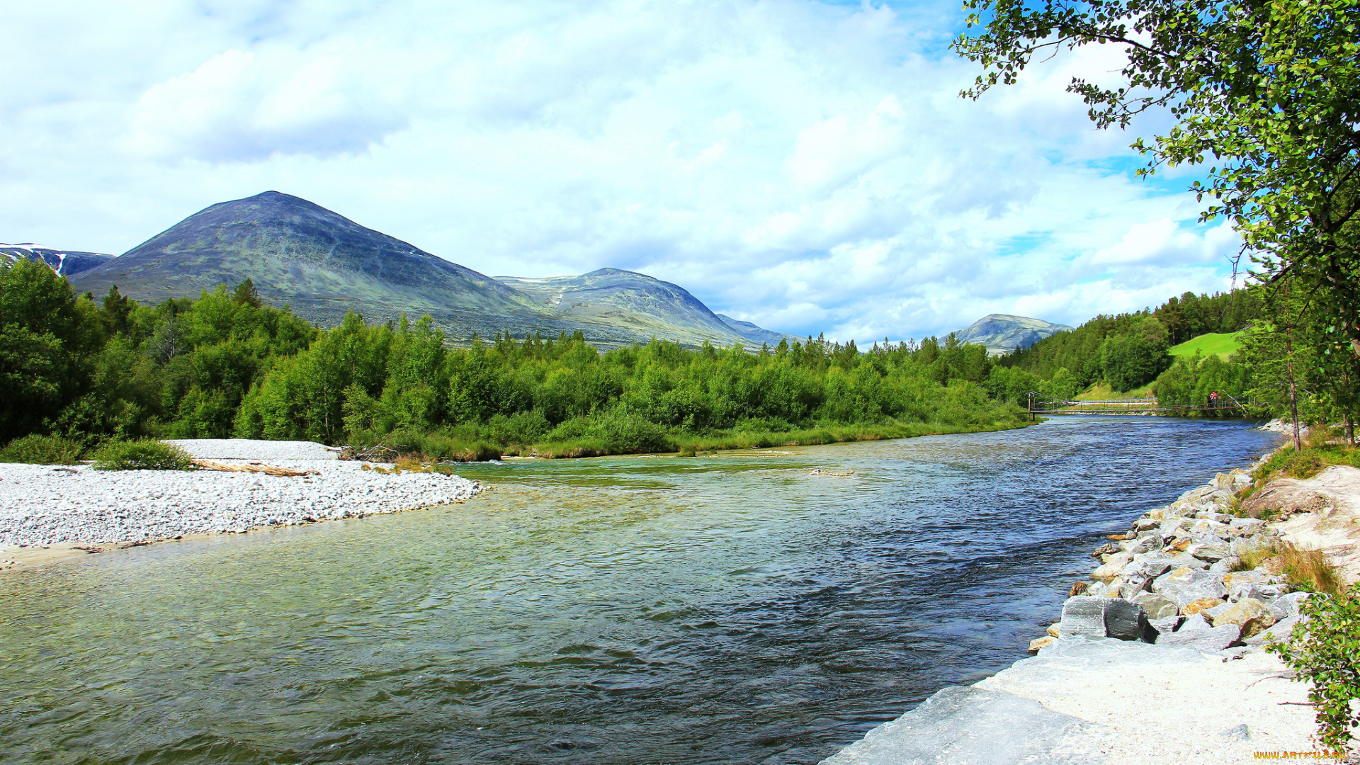 природа, реки, озера, лес, река