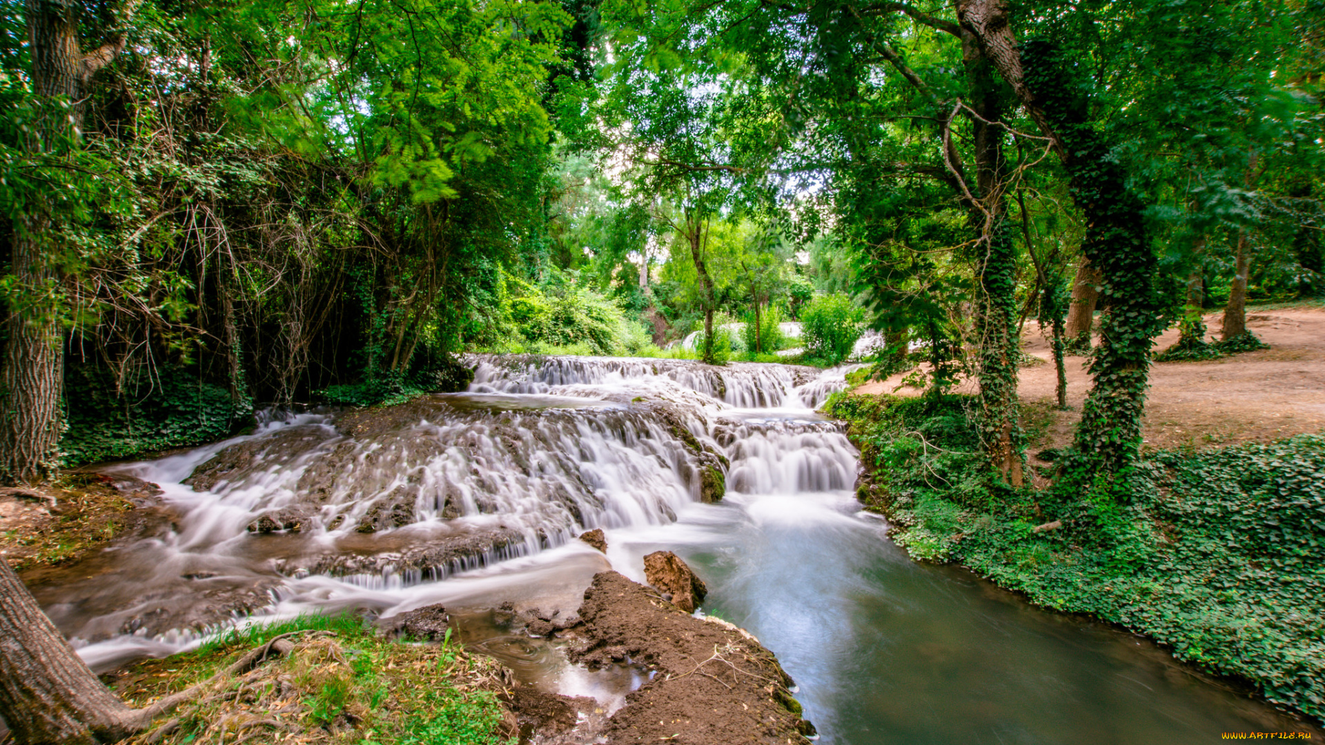 природа, реки, озера, лес, река