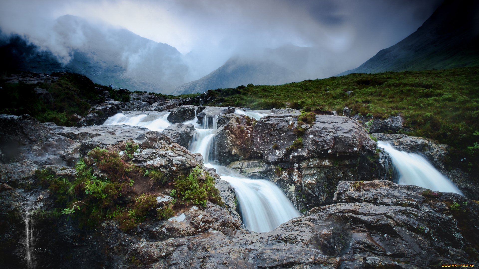 природа, реки, озера, лес, река