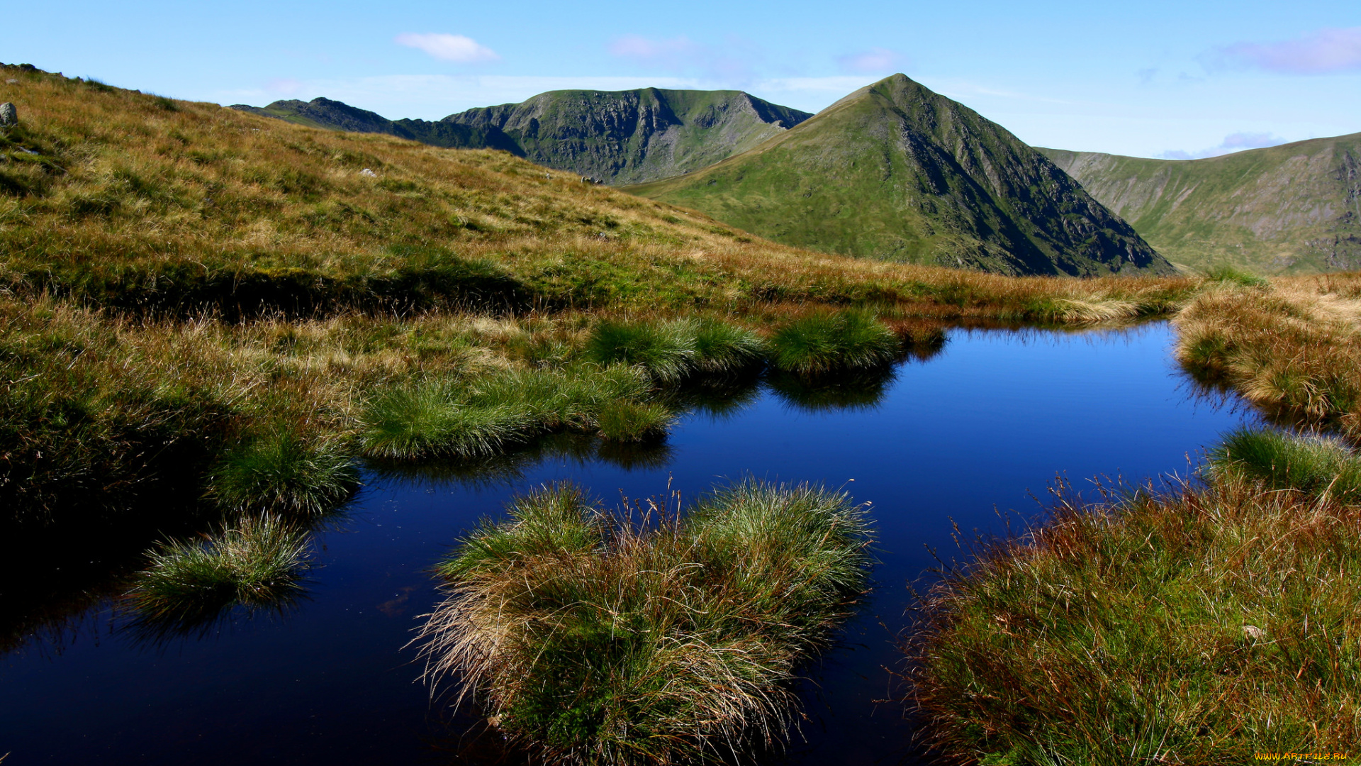 природа, реки, озера, лес, река