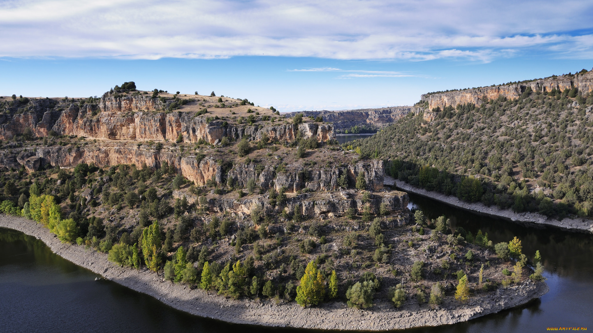 природа, реки, озера, лес, река