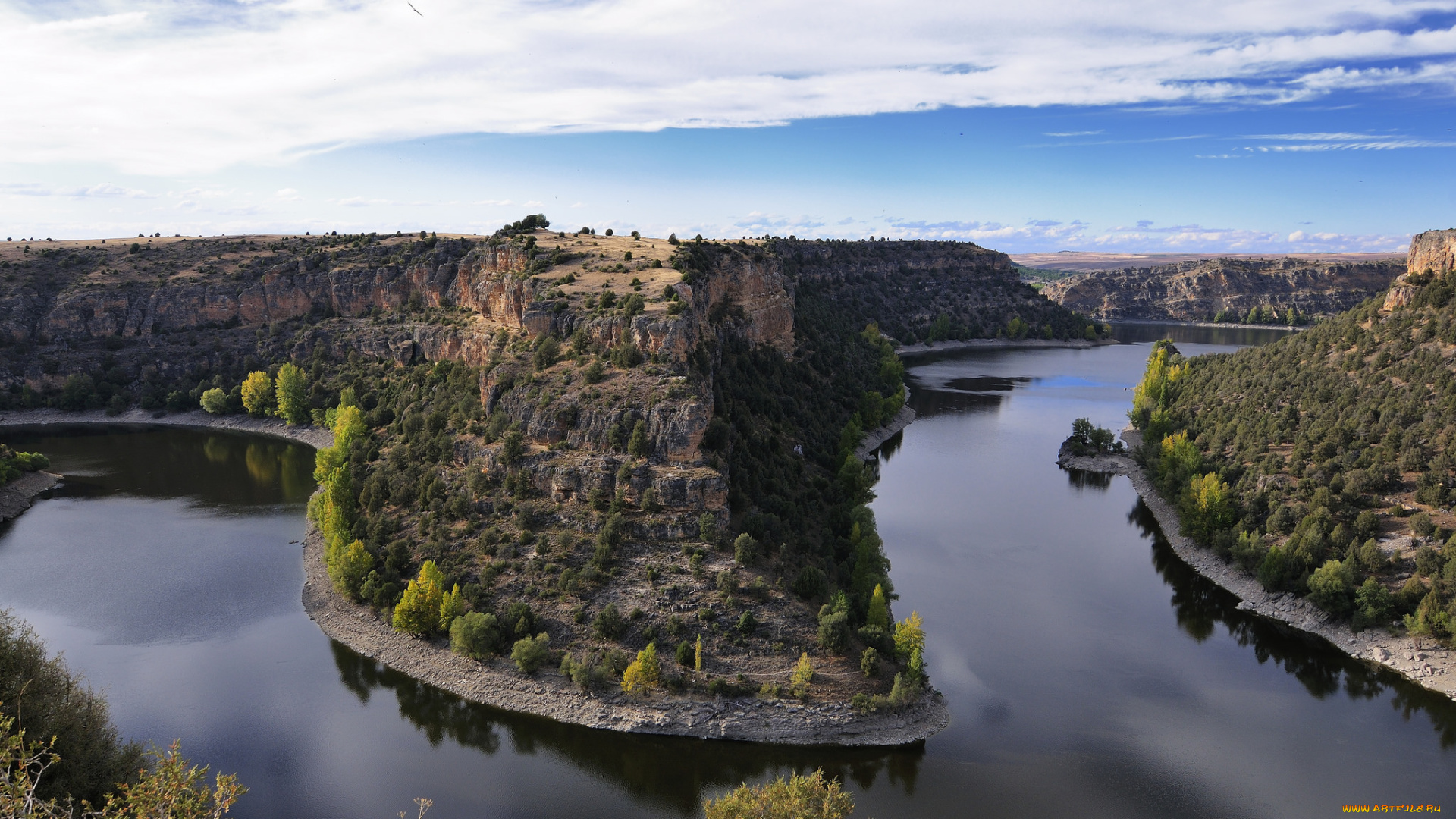 природа, реки, озера, лес, река