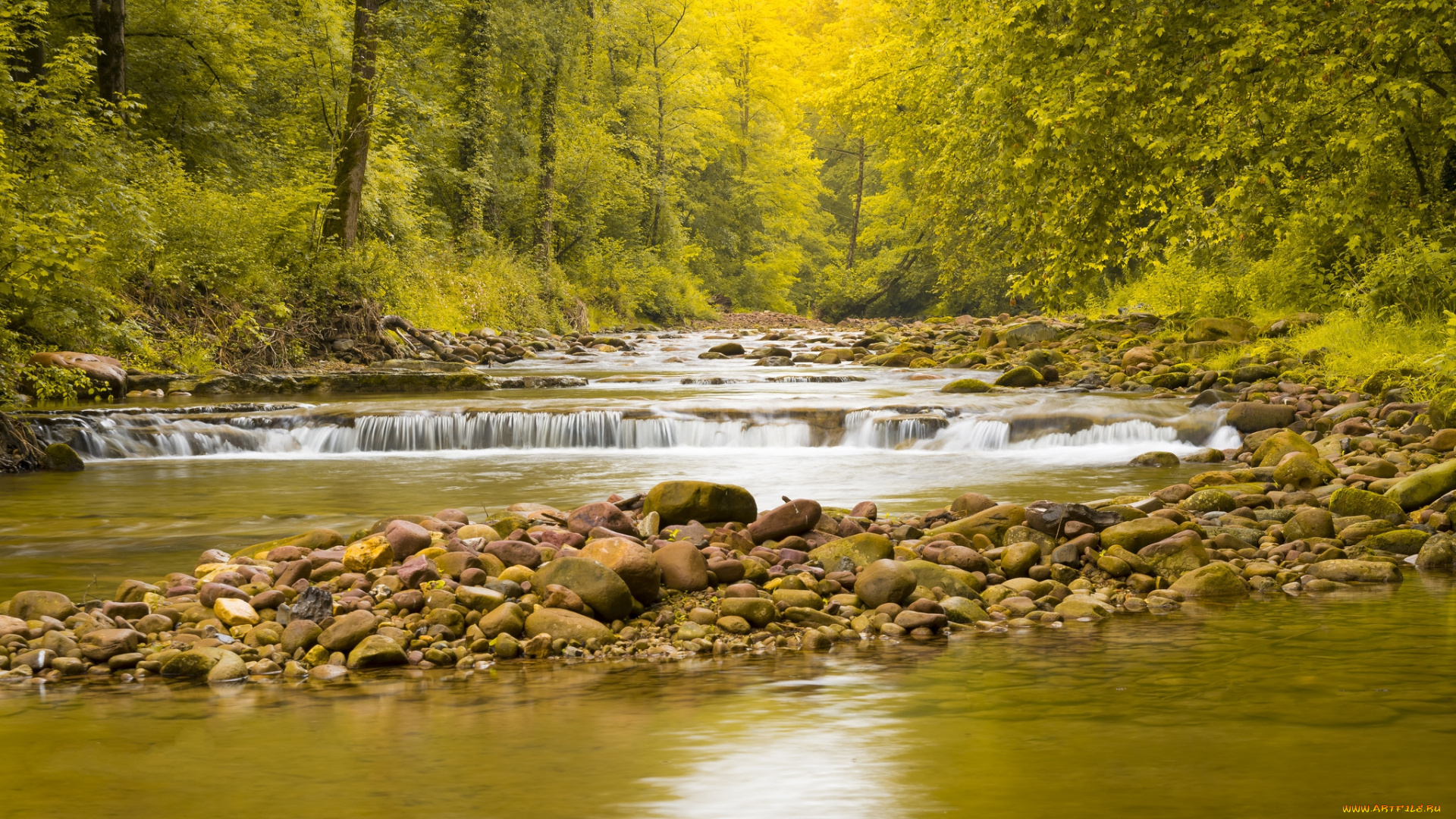 природа, реки, озера, лес, река