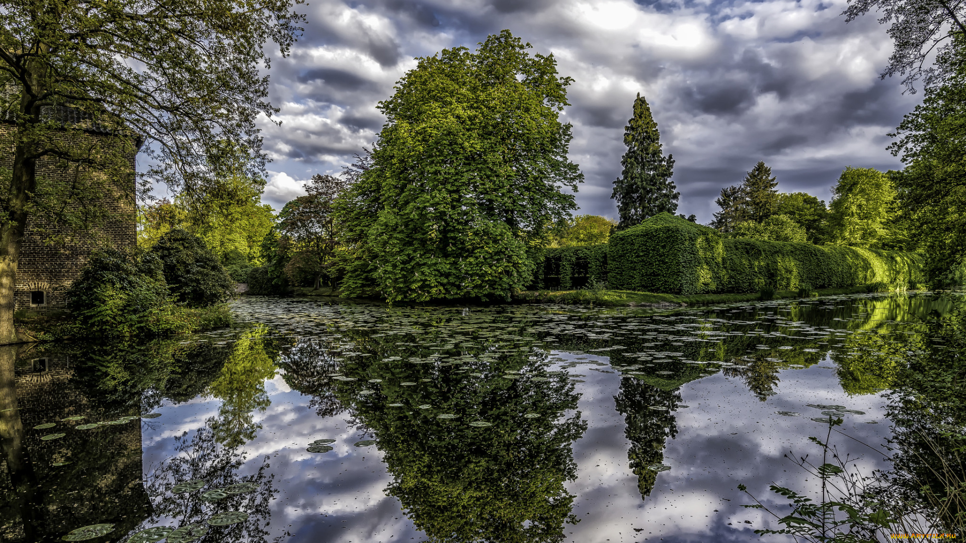 природа, реки, озера, лес, река