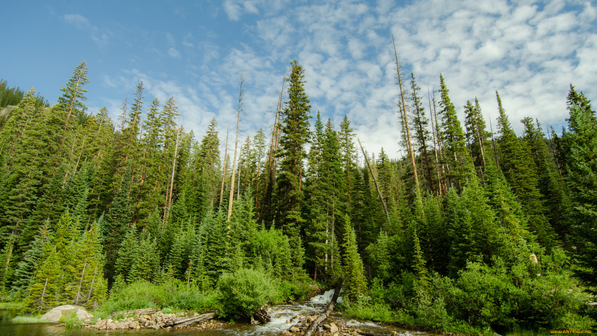 природа, реки, озера, лес, река