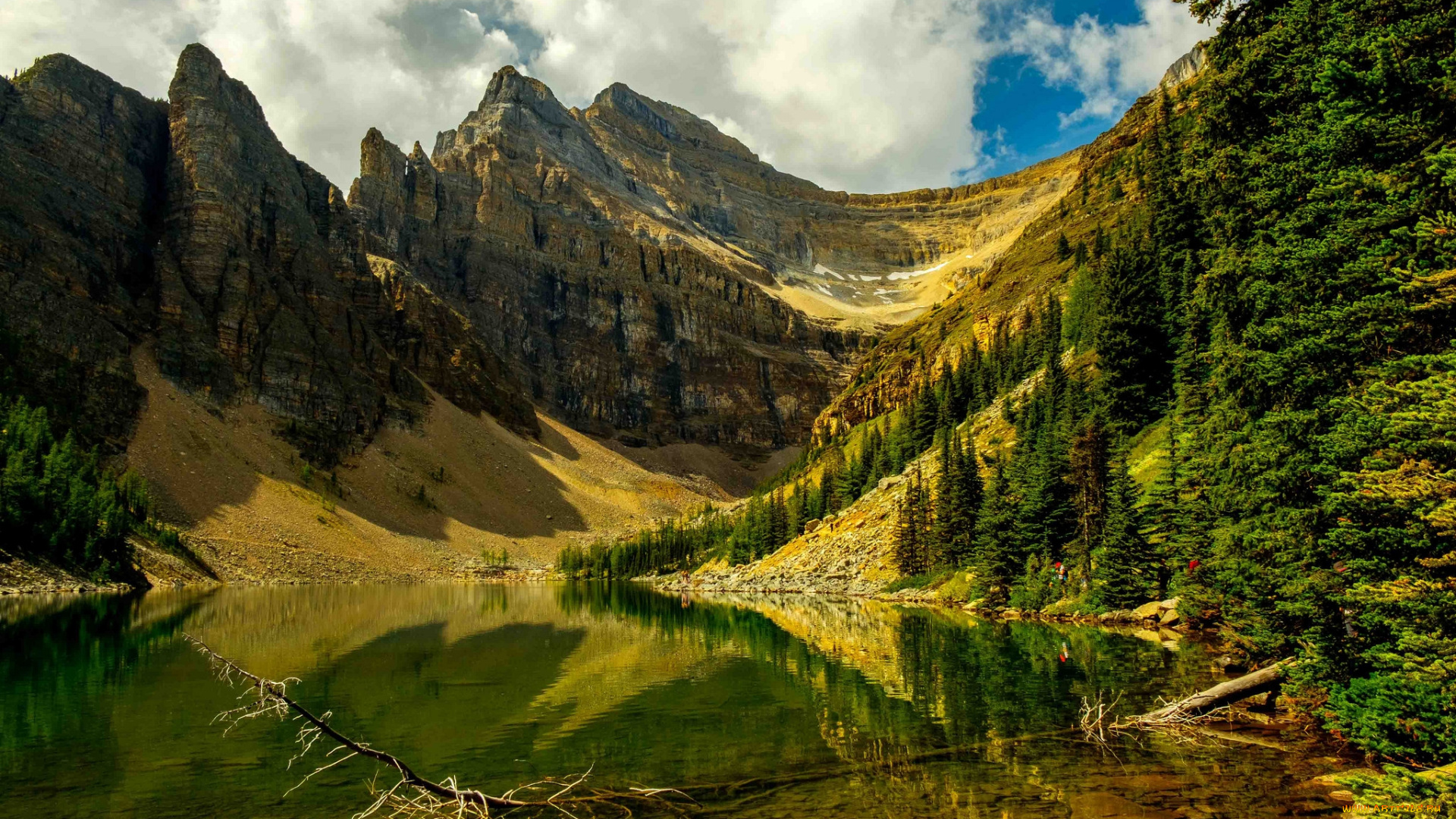 природа, реки, озера, река, лес