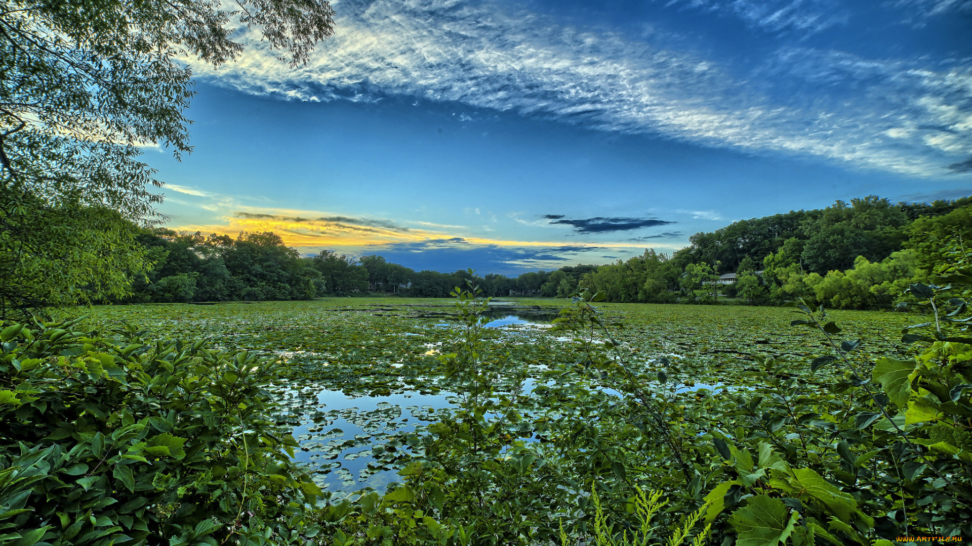 природа, реки, озера, река, лес