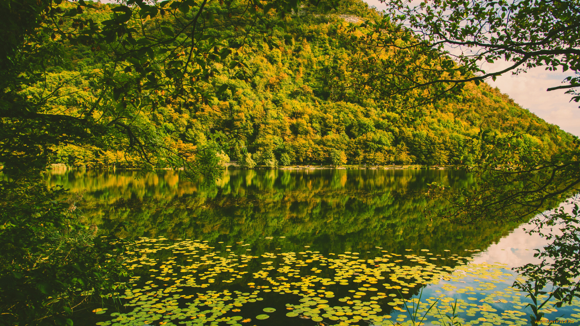 природа, реки, озера, река, лес