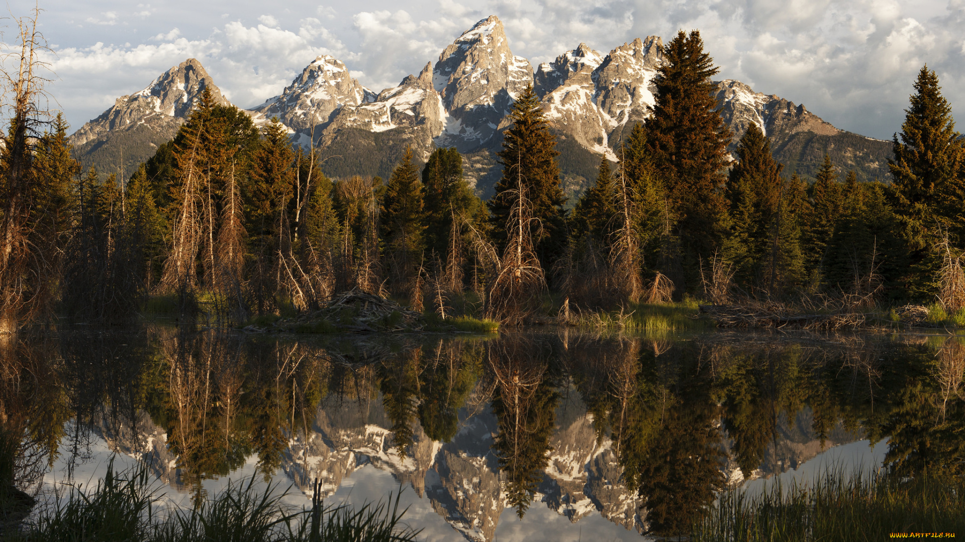 природа, реки, озера, река, лес