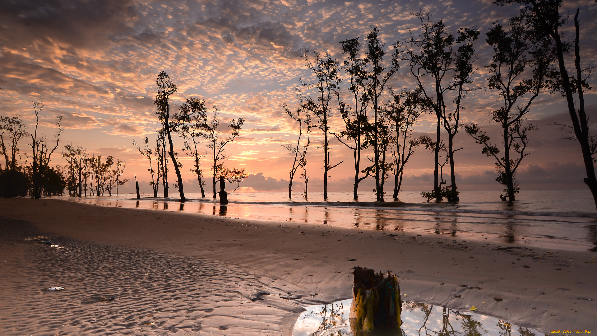 природа, реки, озера, река, лес