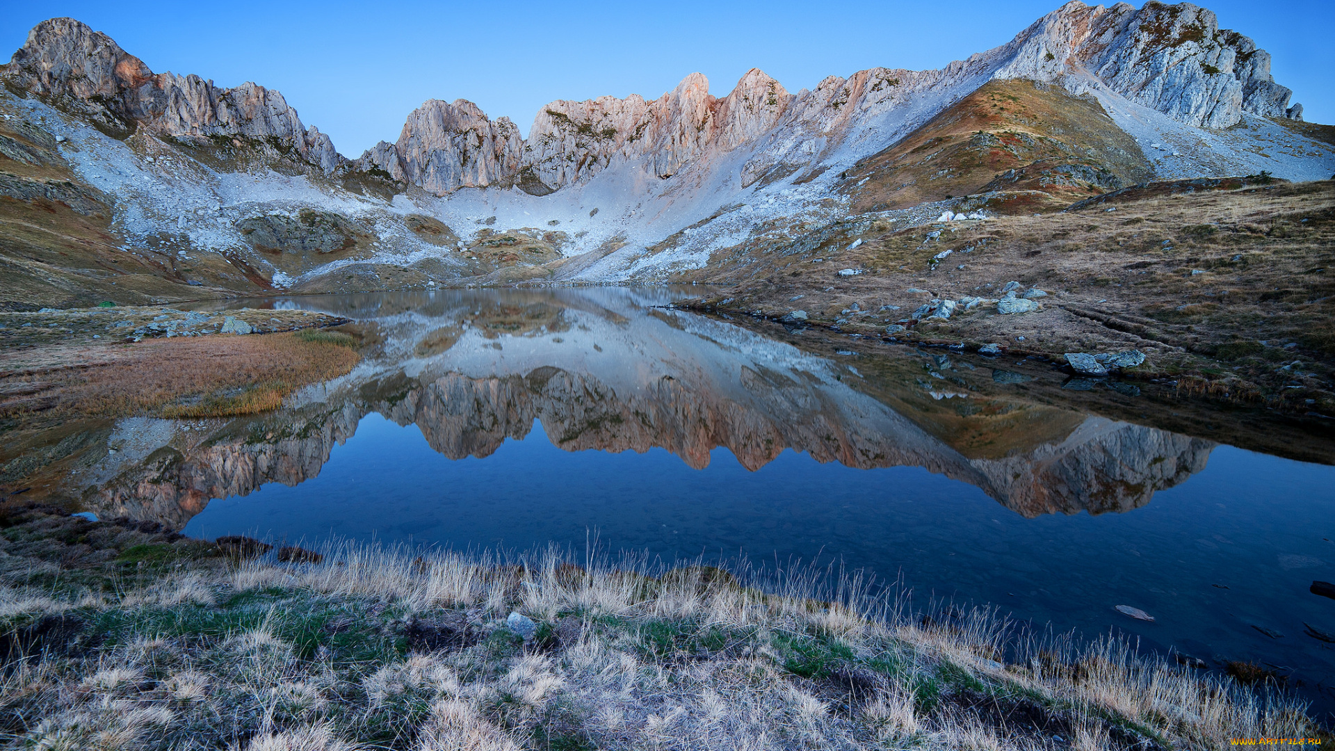 природа, реки, озера, река, лес