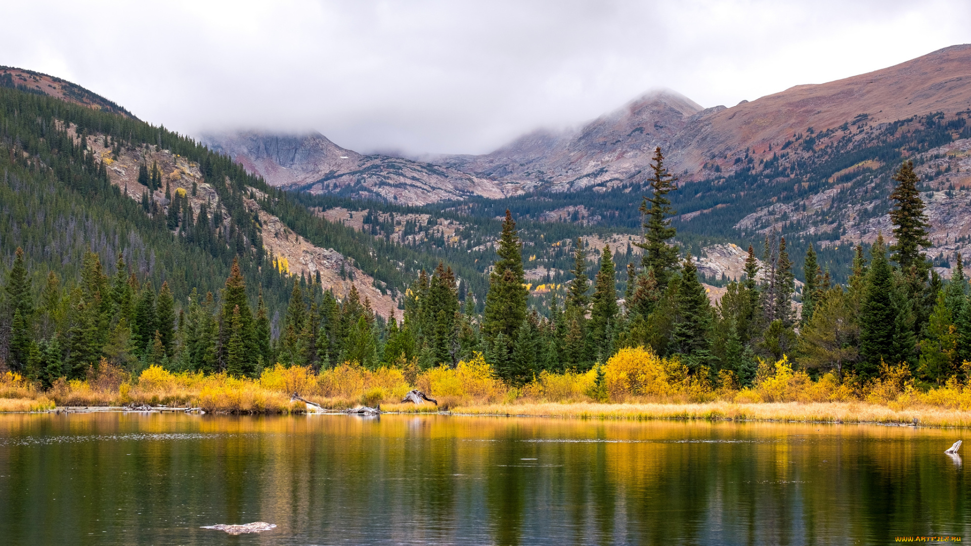 природа, реки, озера, река, лес