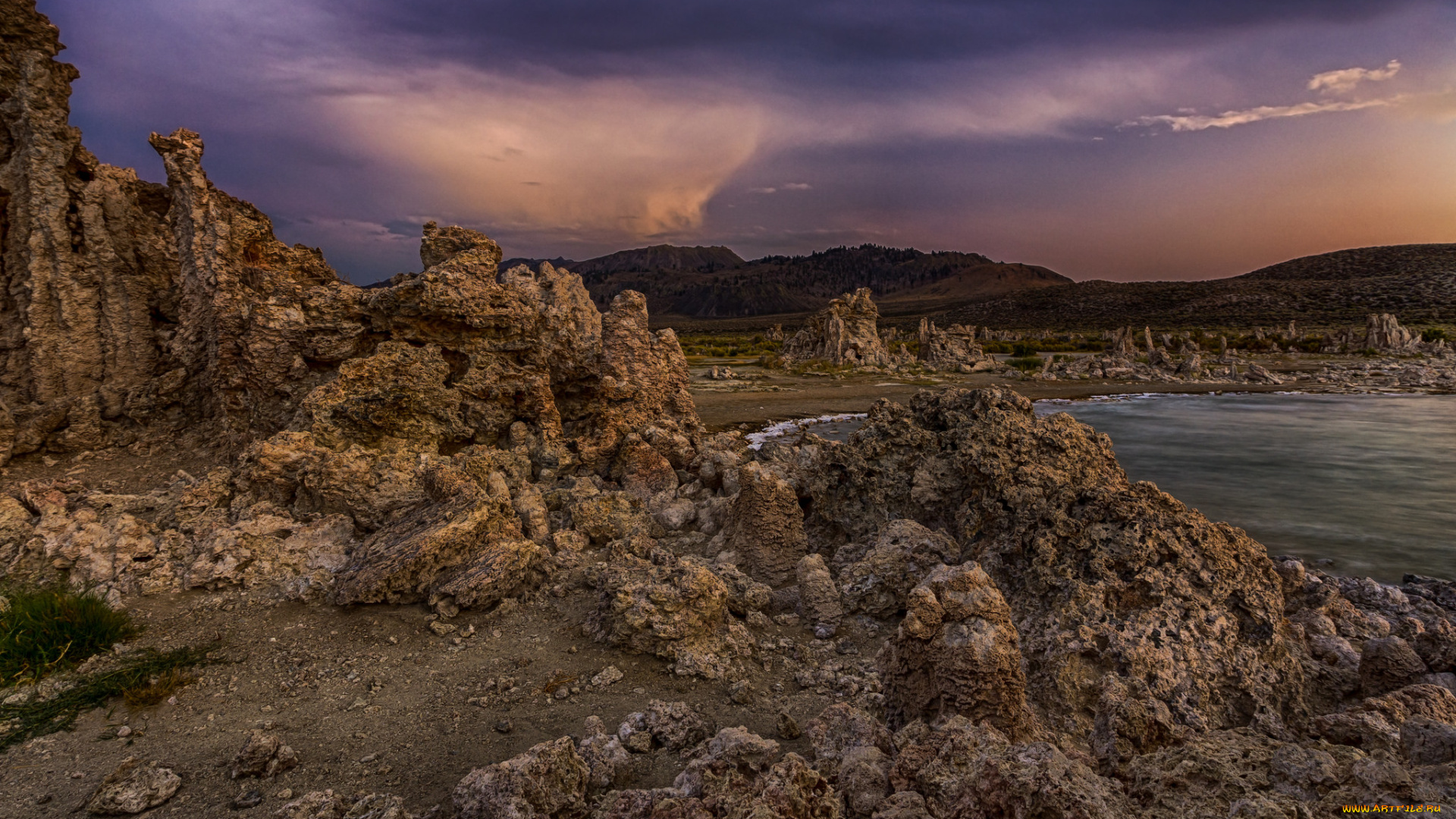 природа, реки, озера, река, лес