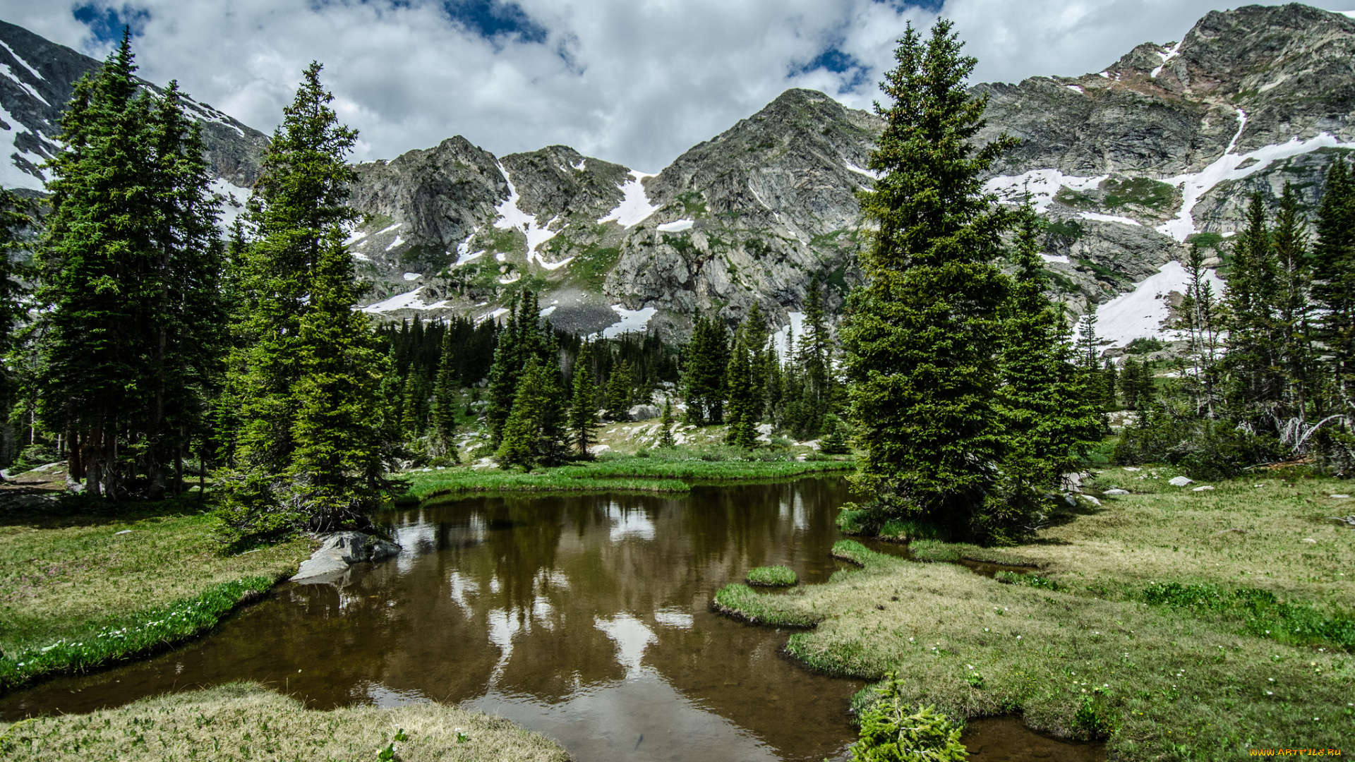 природа, реки, озера, река, лес