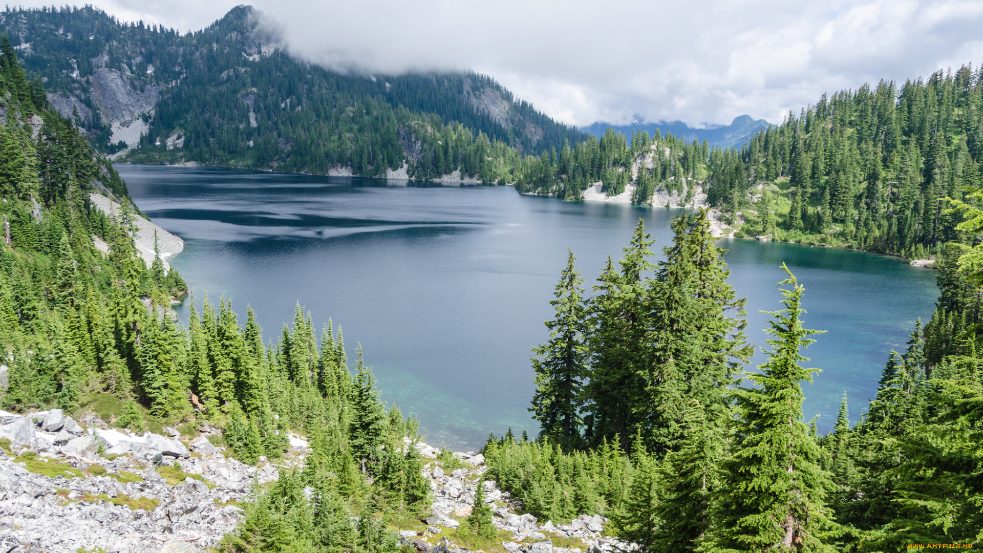 природа, реки, озера, река, лес