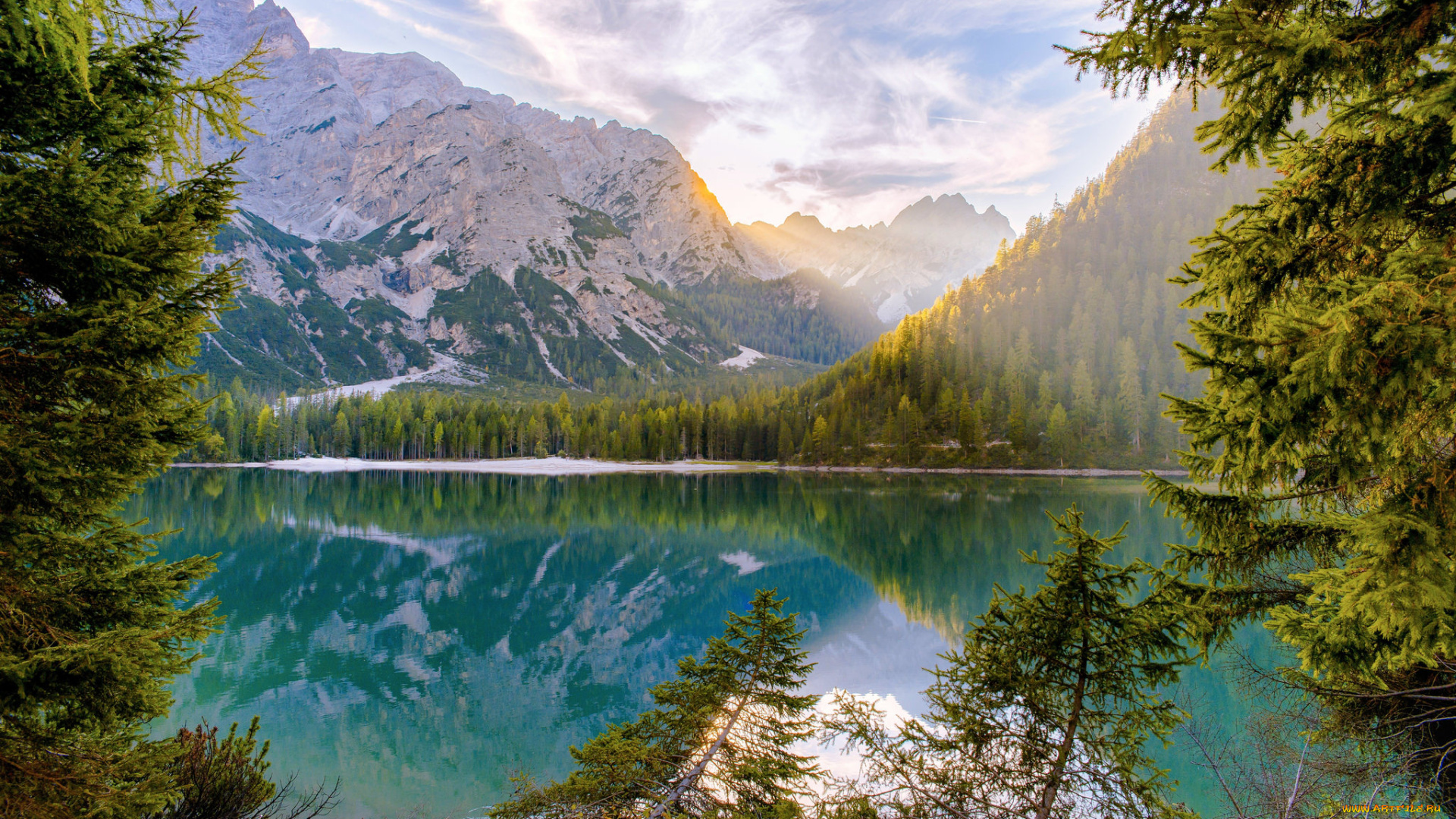 природа, реки, озера, река, лес