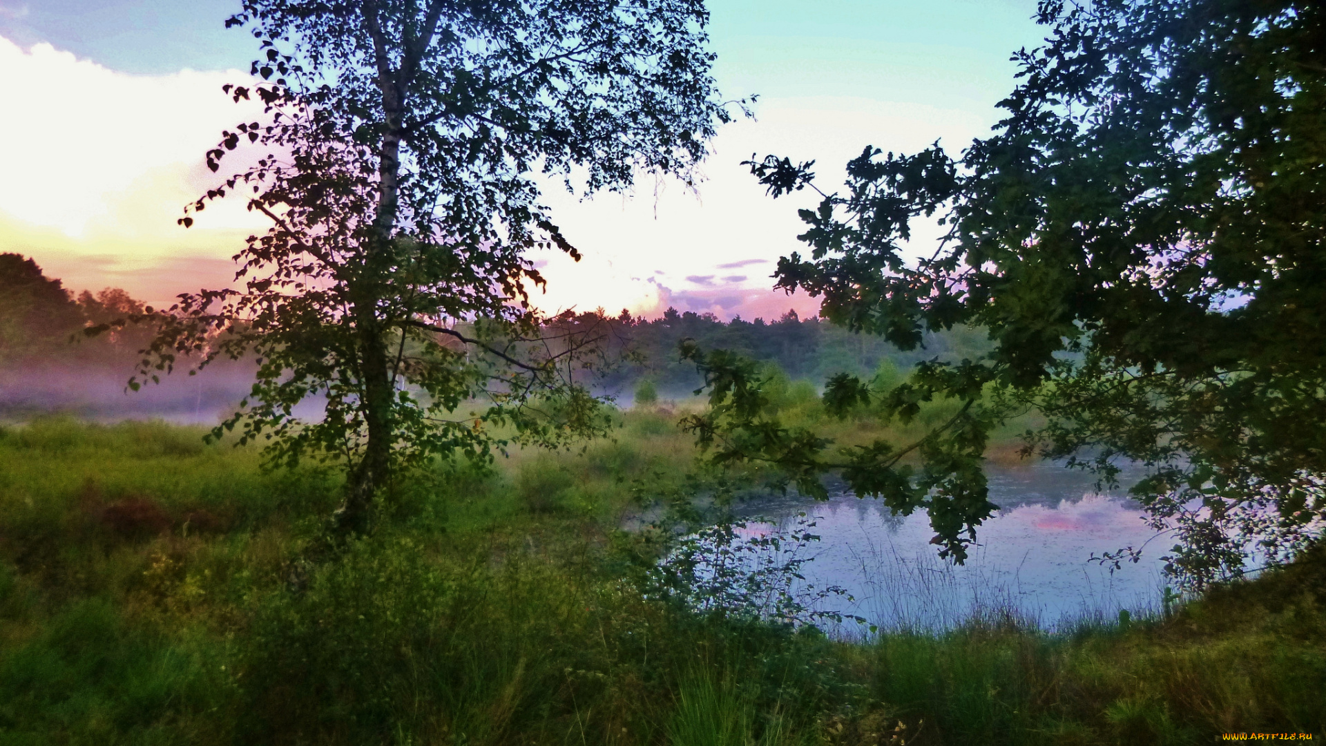 природа, реки, озера, река, лес