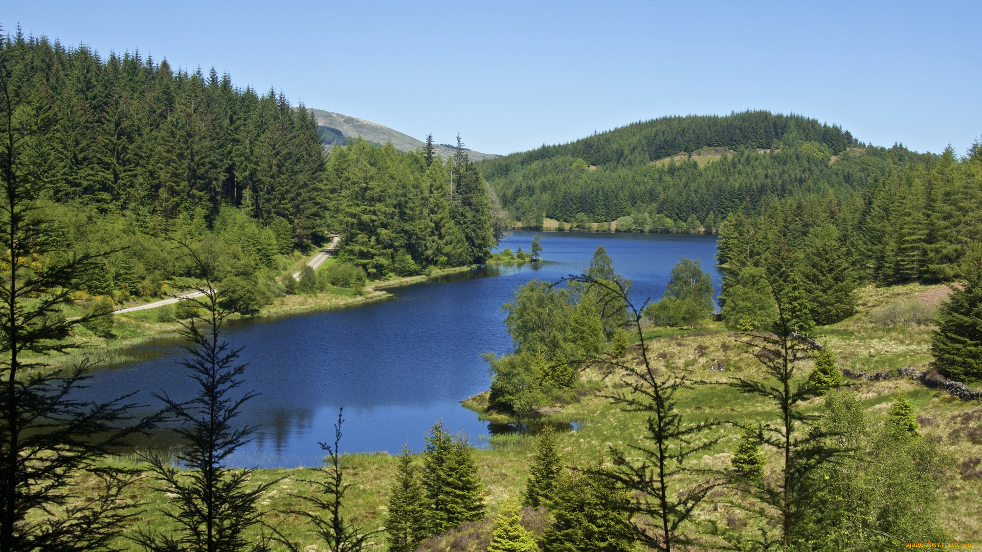 природа, реки, озера, водоем, деревья, ели, холмы