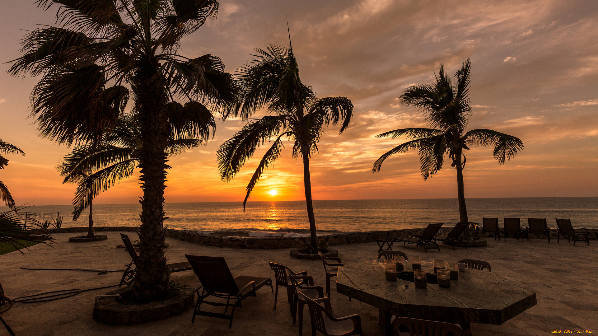 природа, тропики, курорт