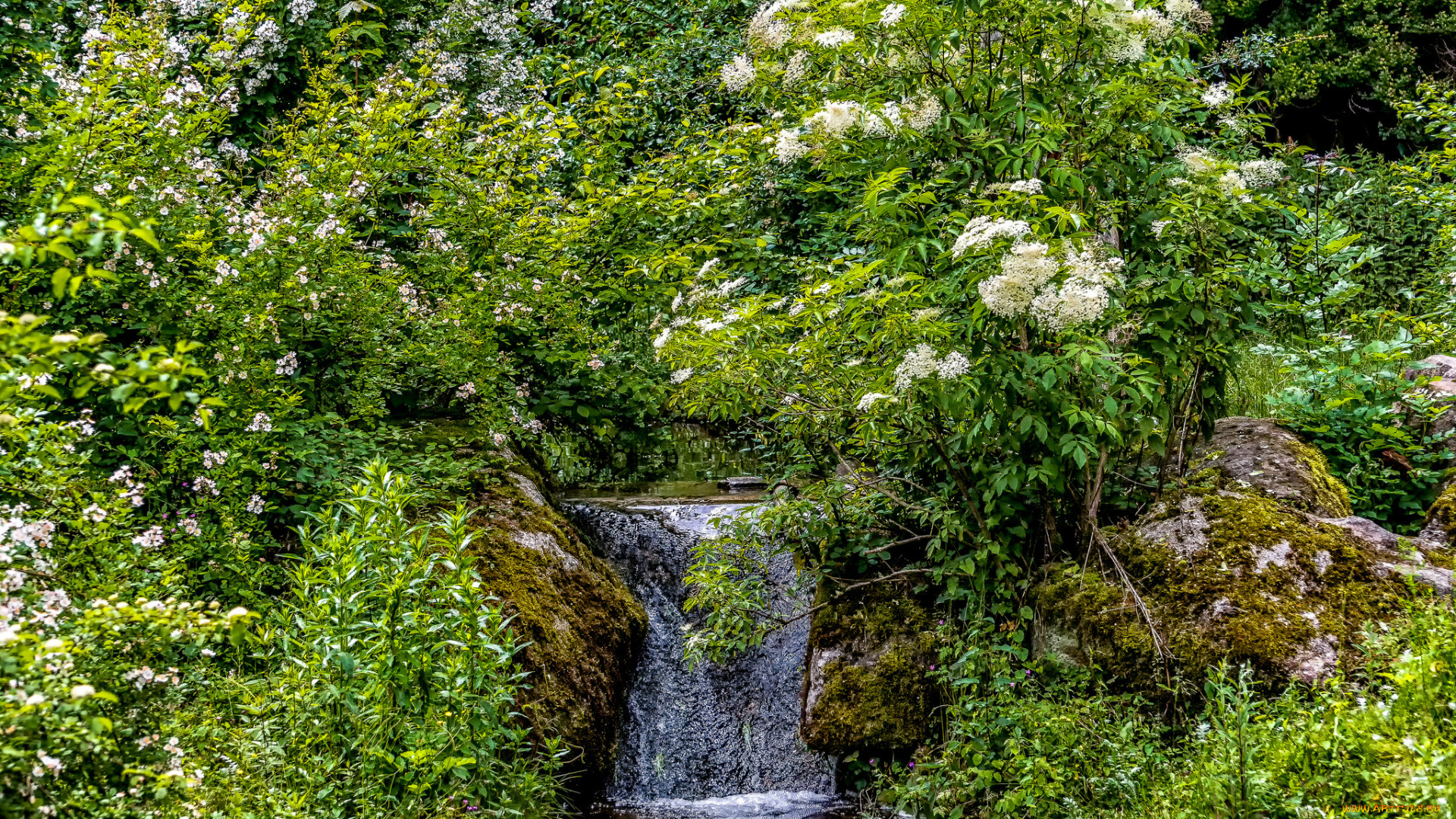 природа, водопады, река, лес, водопад