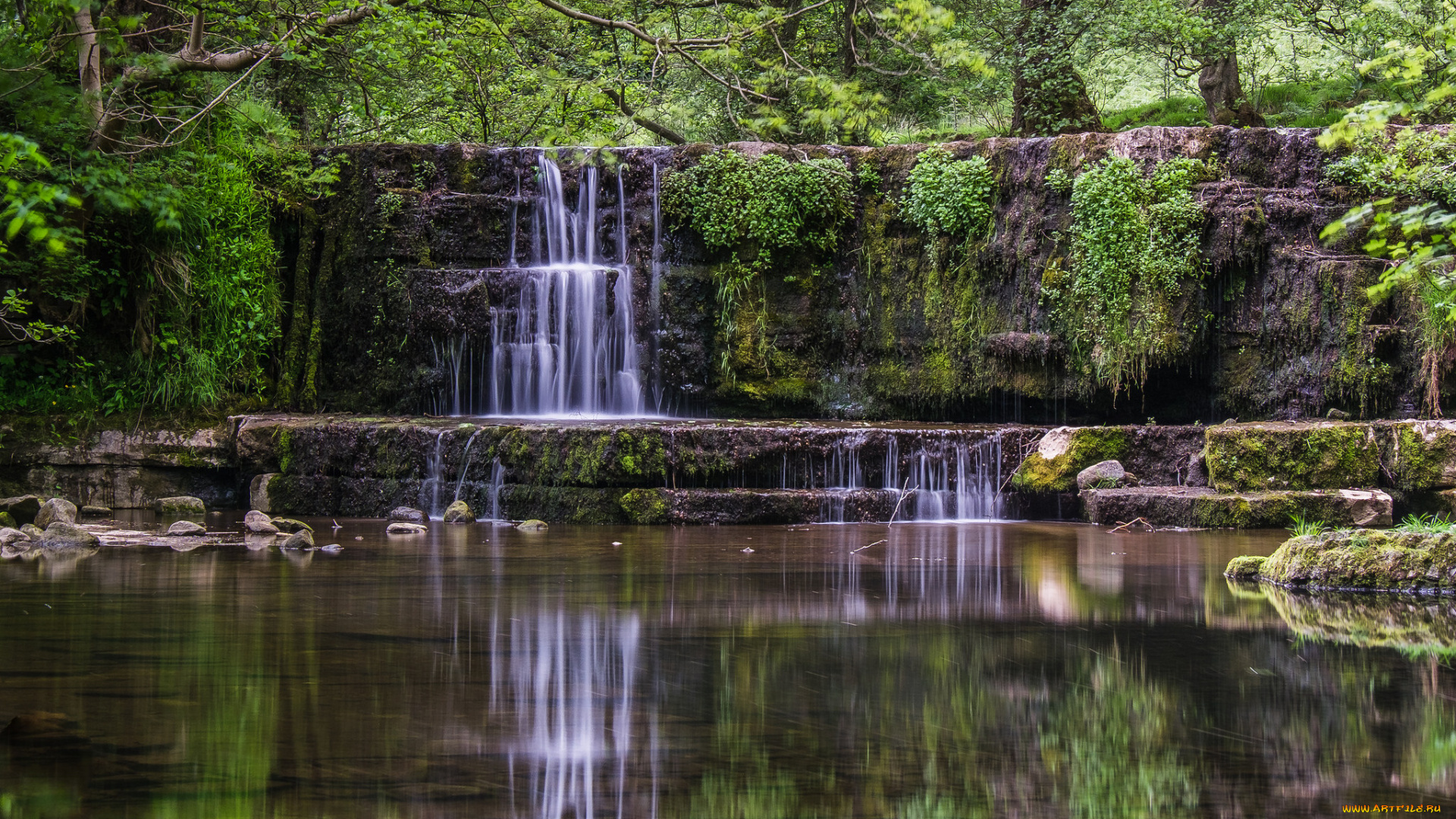 природа, водопады, река, водопад, лес