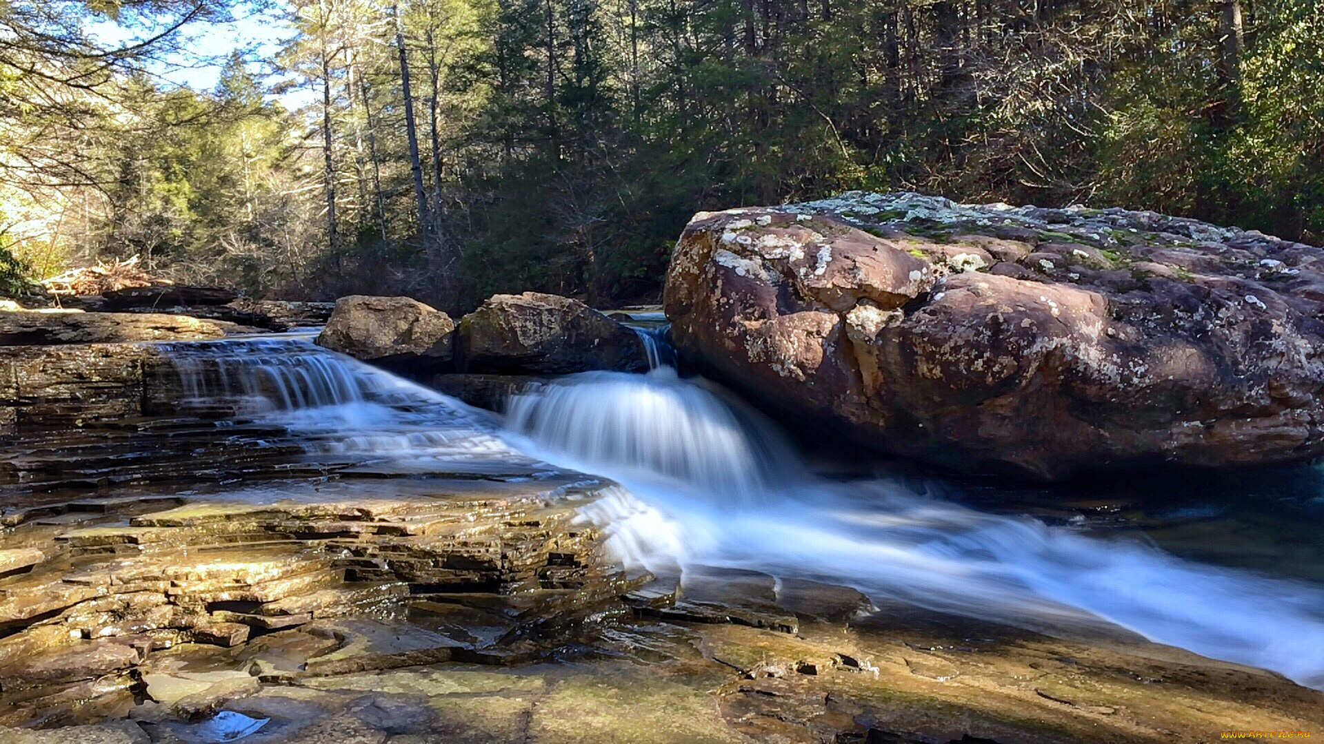 природа, водопады, река, водопад, лес