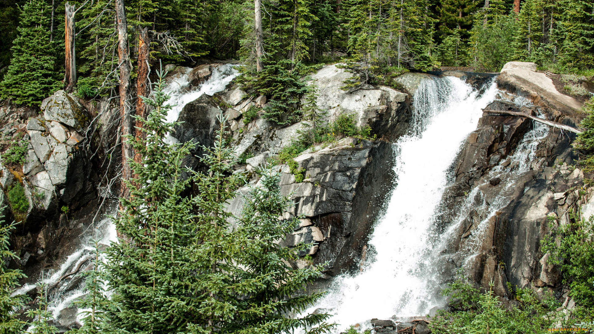 природа, водопады, водопад, лес, река