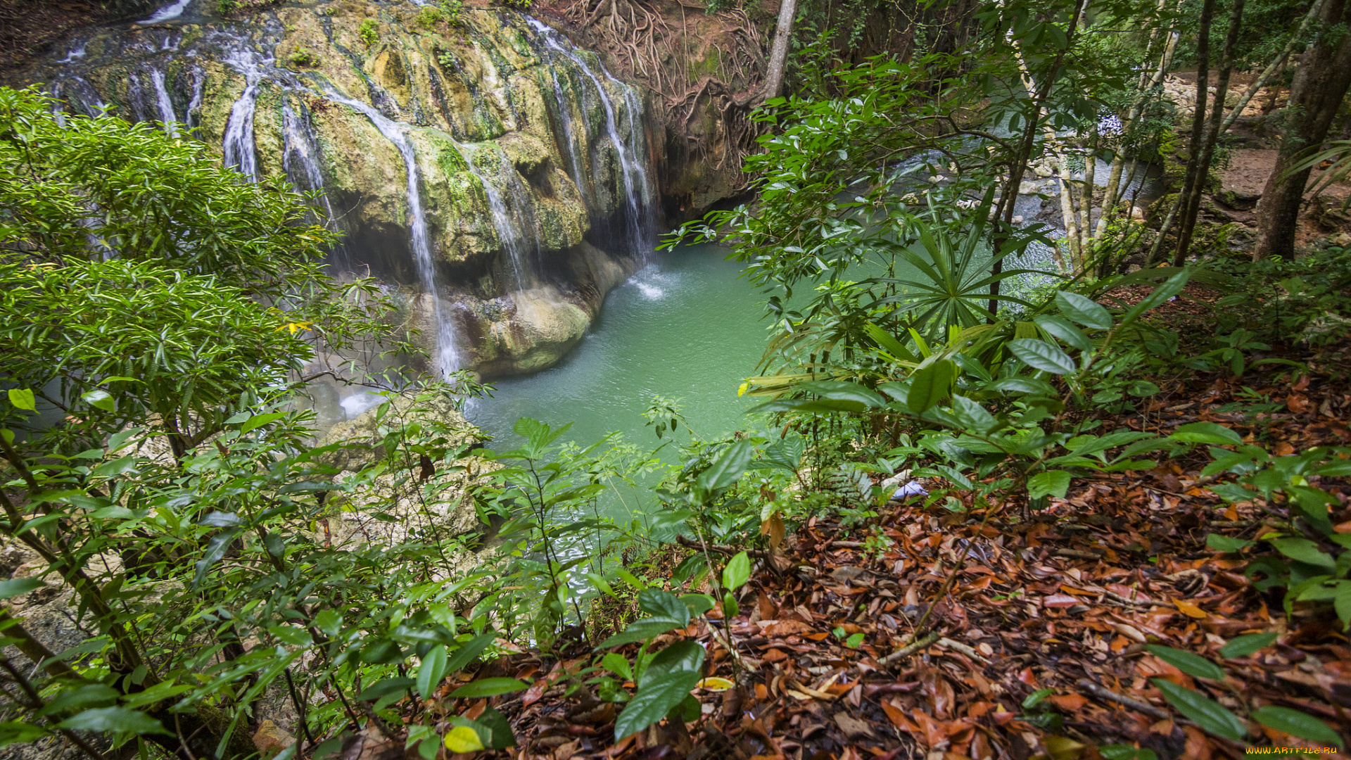 природа, водопады, водопад, река, лес
