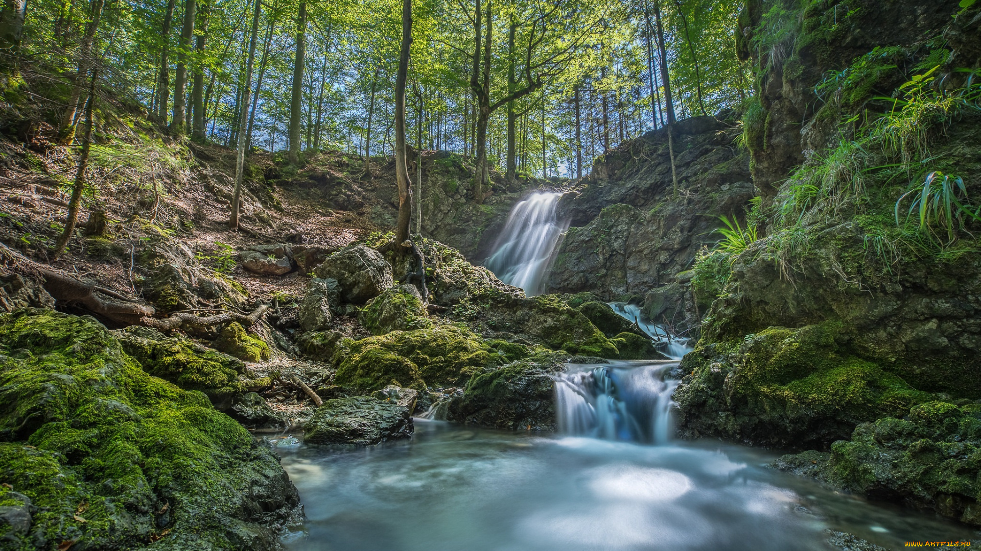 природа, водопады, водопад, река, лес