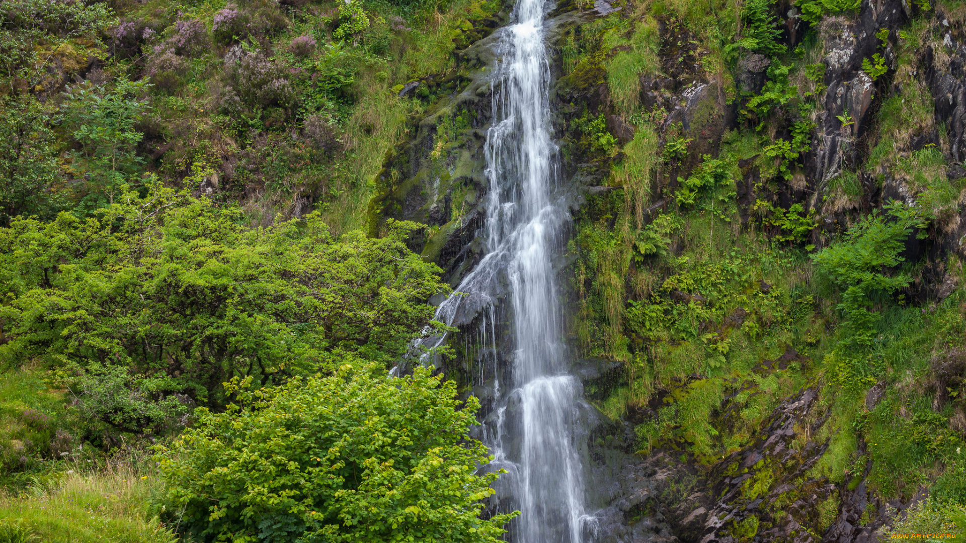 природа, водопады, водопад, река, лес