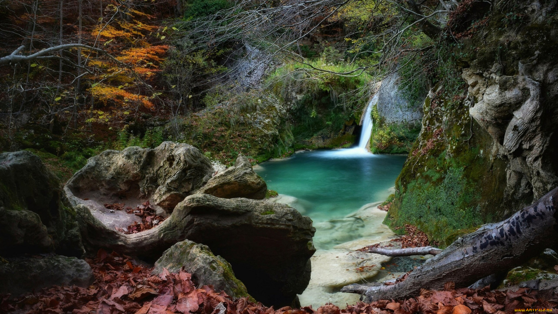 природа, водопады, водопад, река, лес