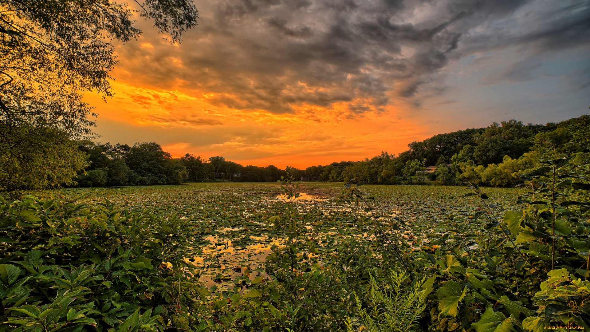 природа, восходы, закаты, рассвет
