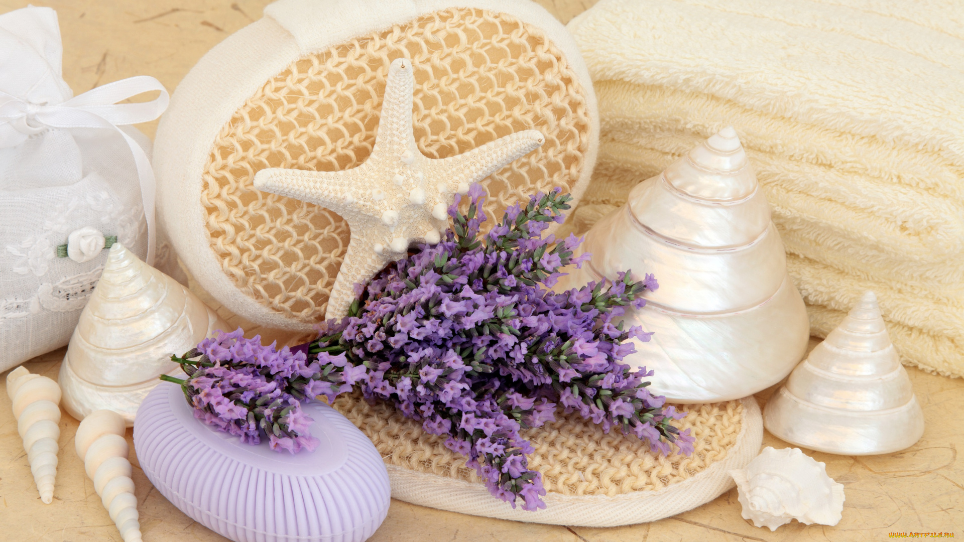 разное, косметические, средства, , духи, спа, цветы, лаванда, мыло, полотенце, ракушка
