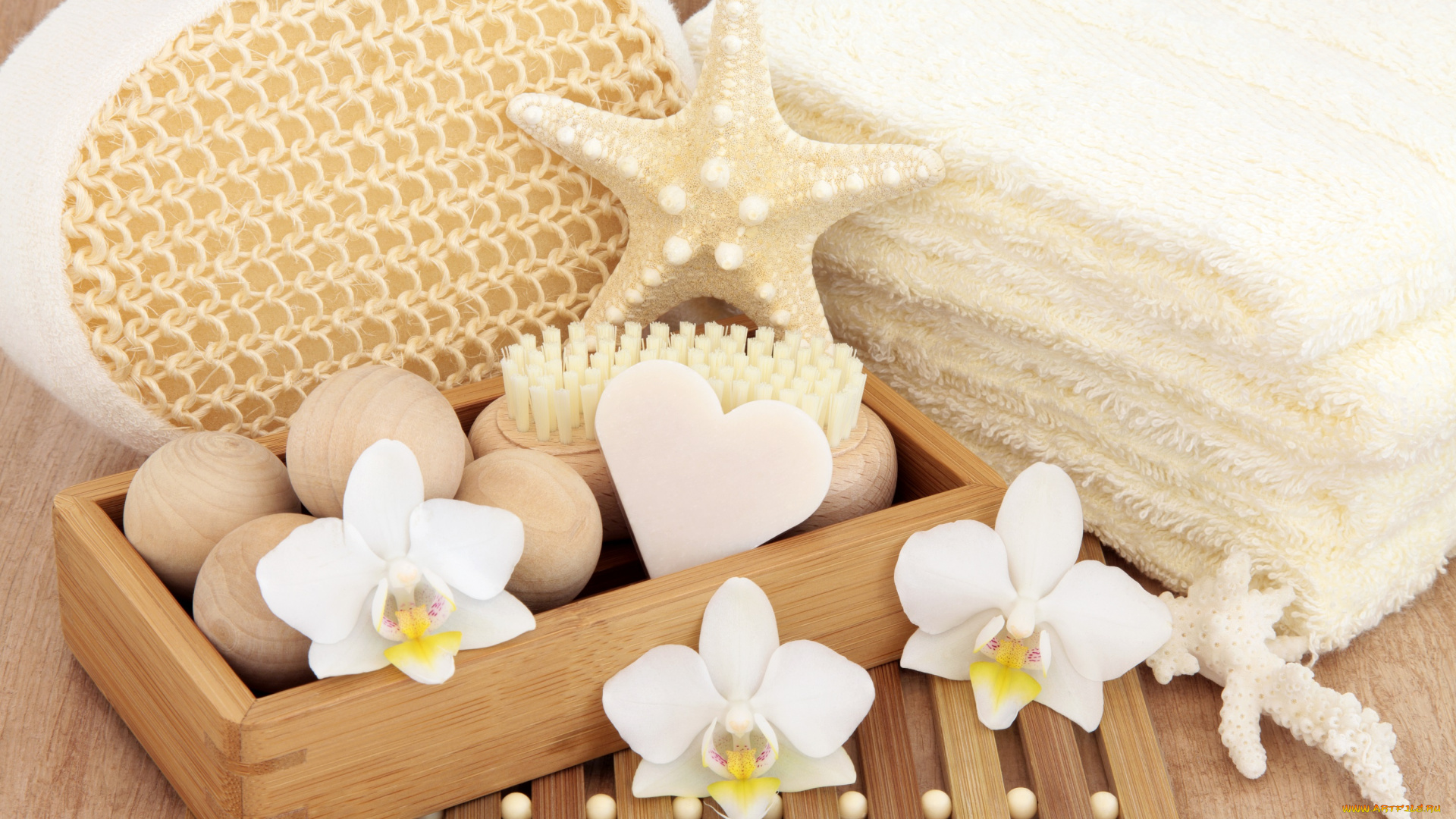 разное, косметические, средства, , духи, спа, цветы, мыло, полотенце, ракушка