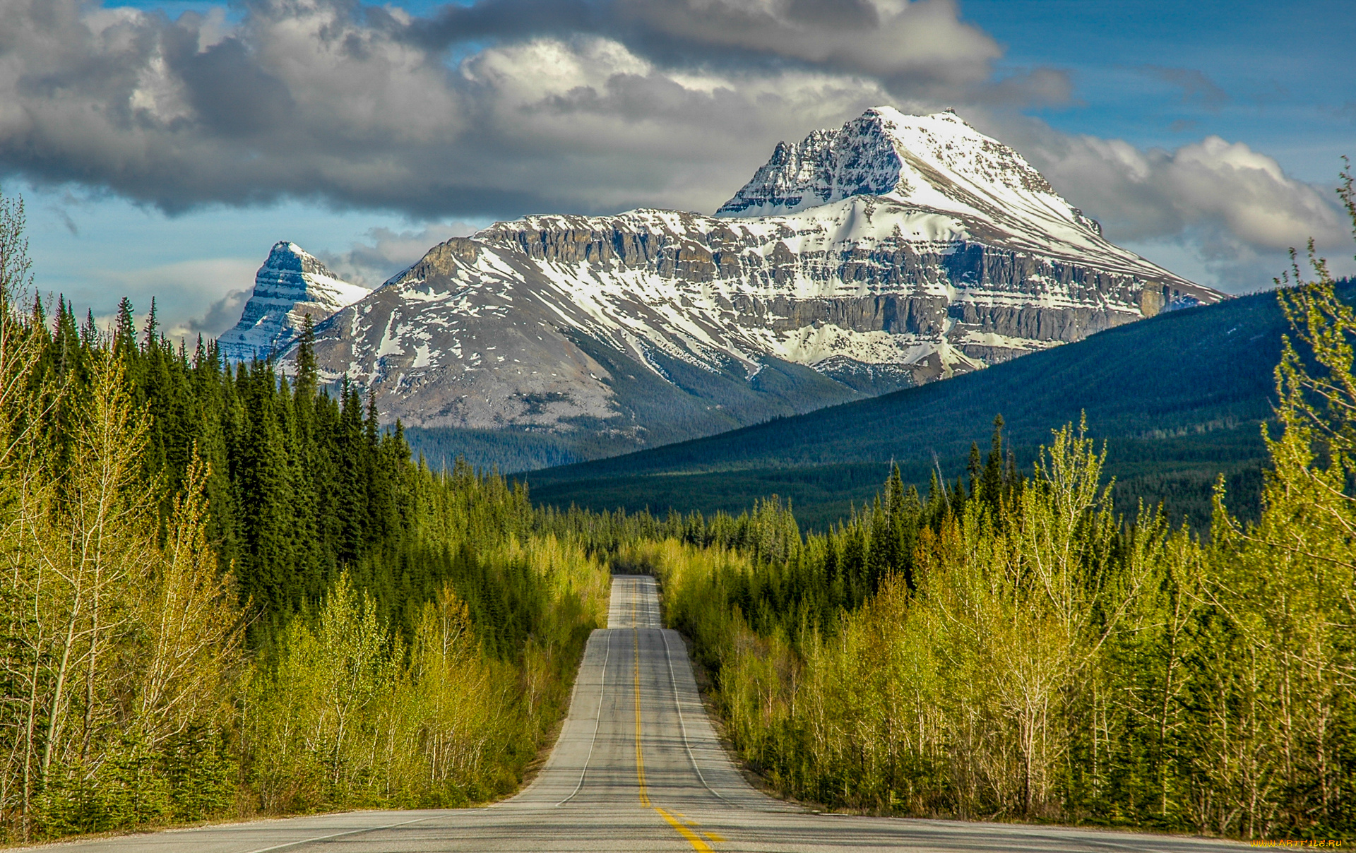 природа, дороги, тракт