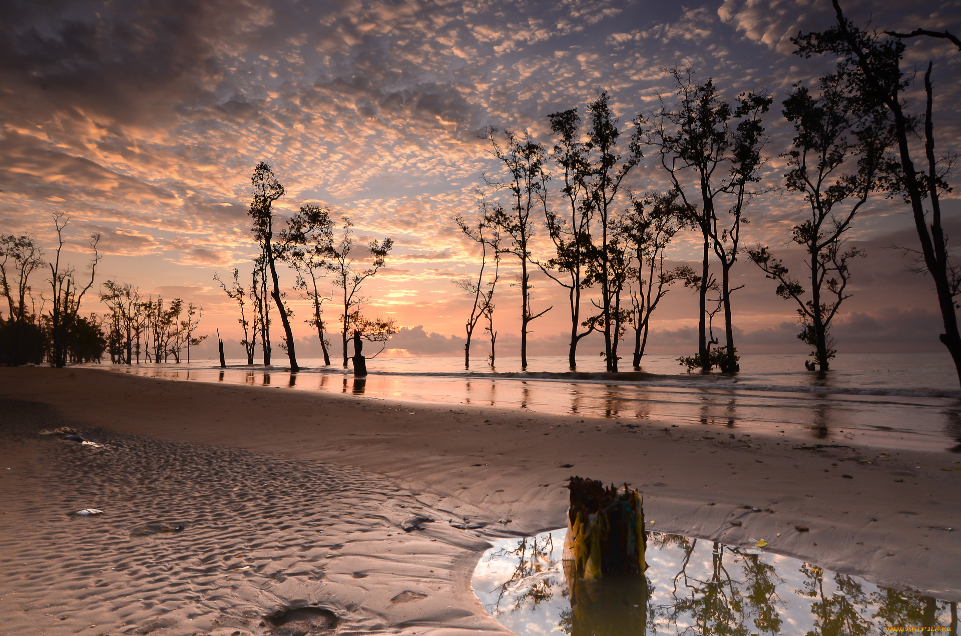 природа, реки, озера, река, лес